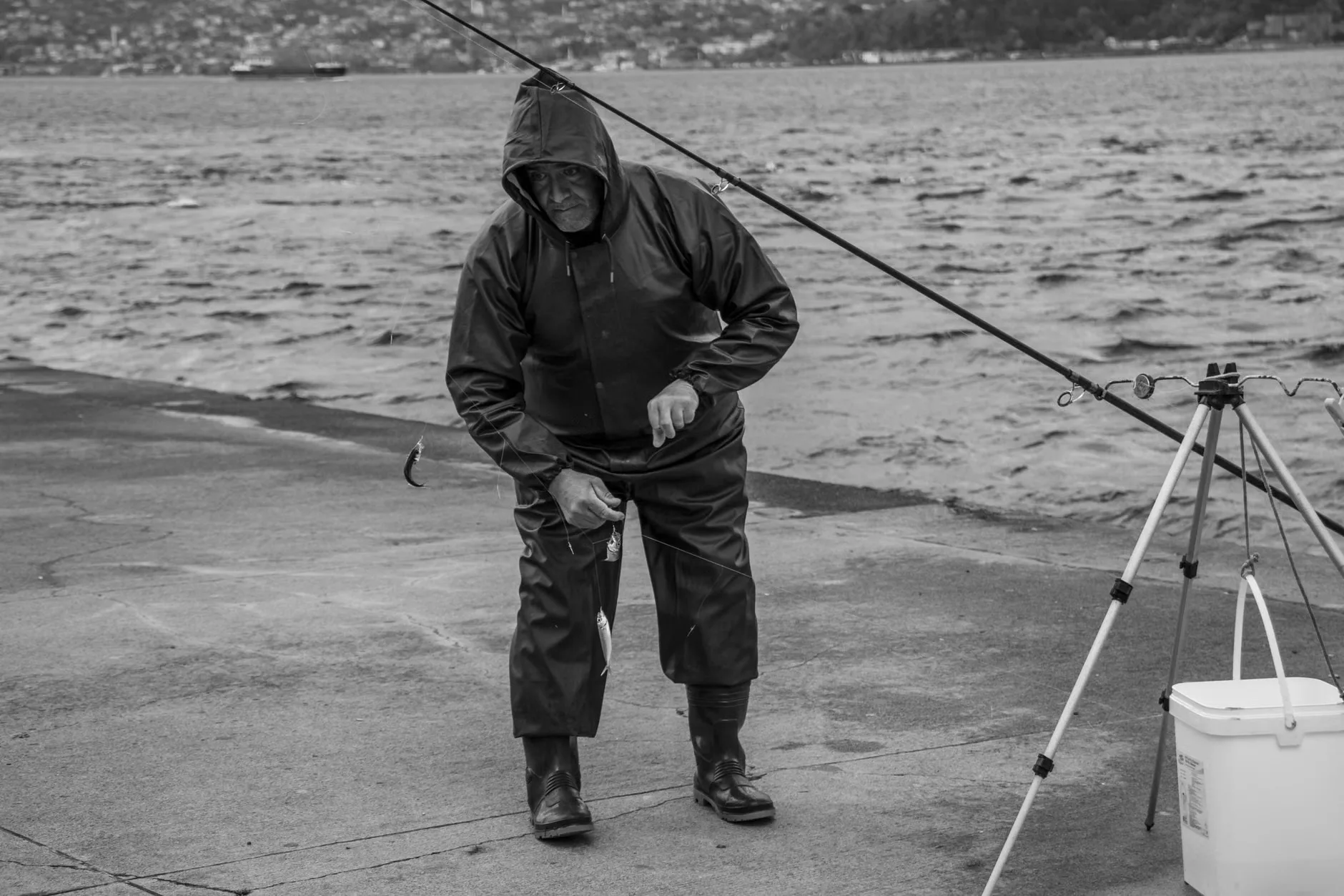Fish and Chat - Swale at Holm Pl