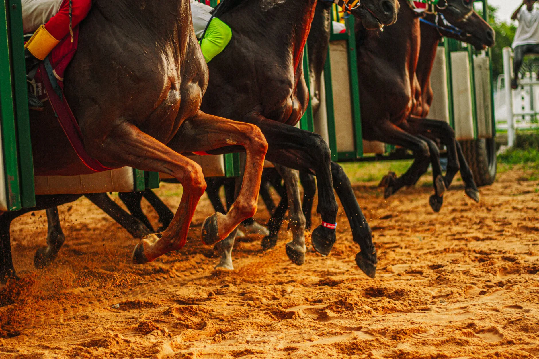Ladies Day - Bath Racecourse at Bath Racecourse