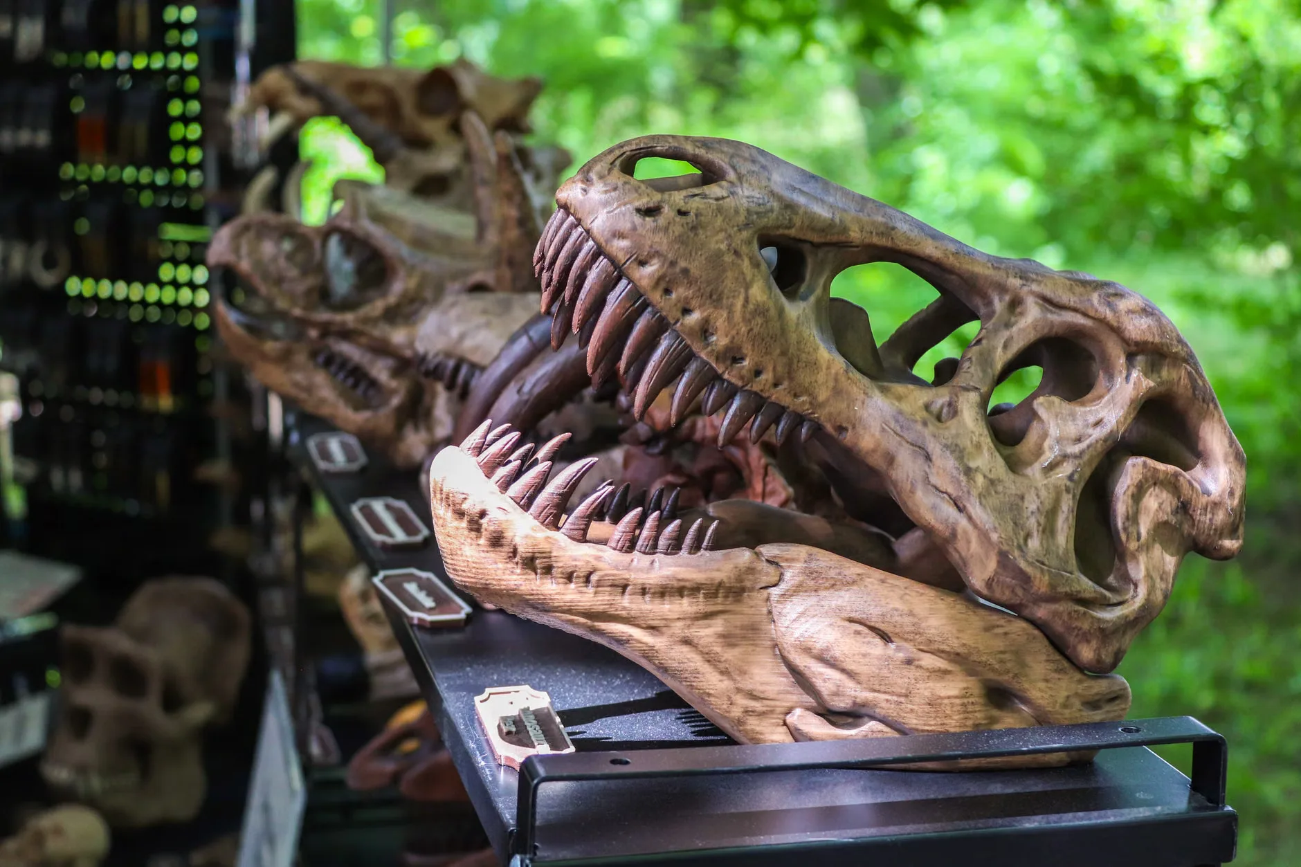 Jurassic Wild Musical Adventure at Vaillant Live, Derby