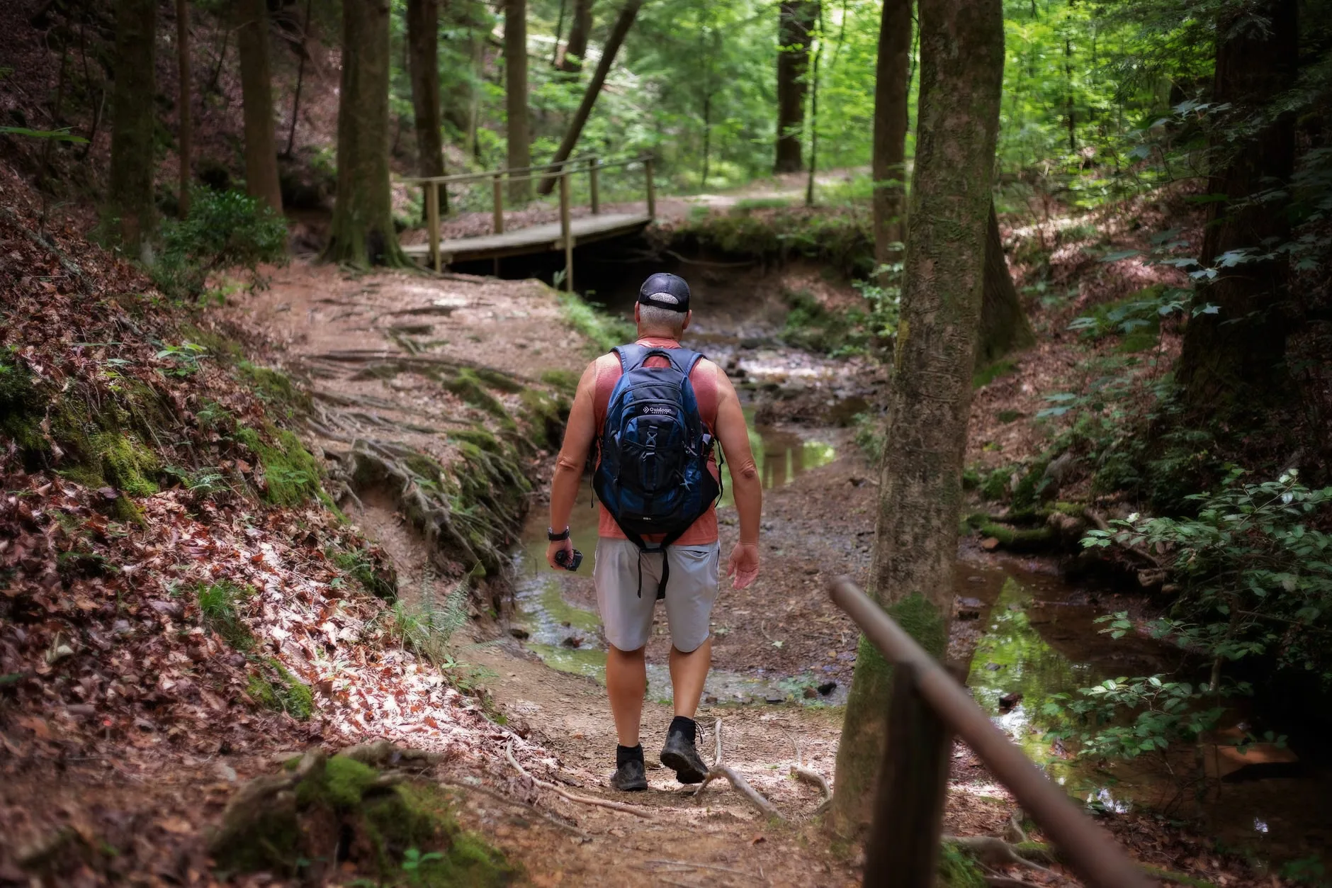 Walk with us - nature walk with ornithologist, Ed Hunter