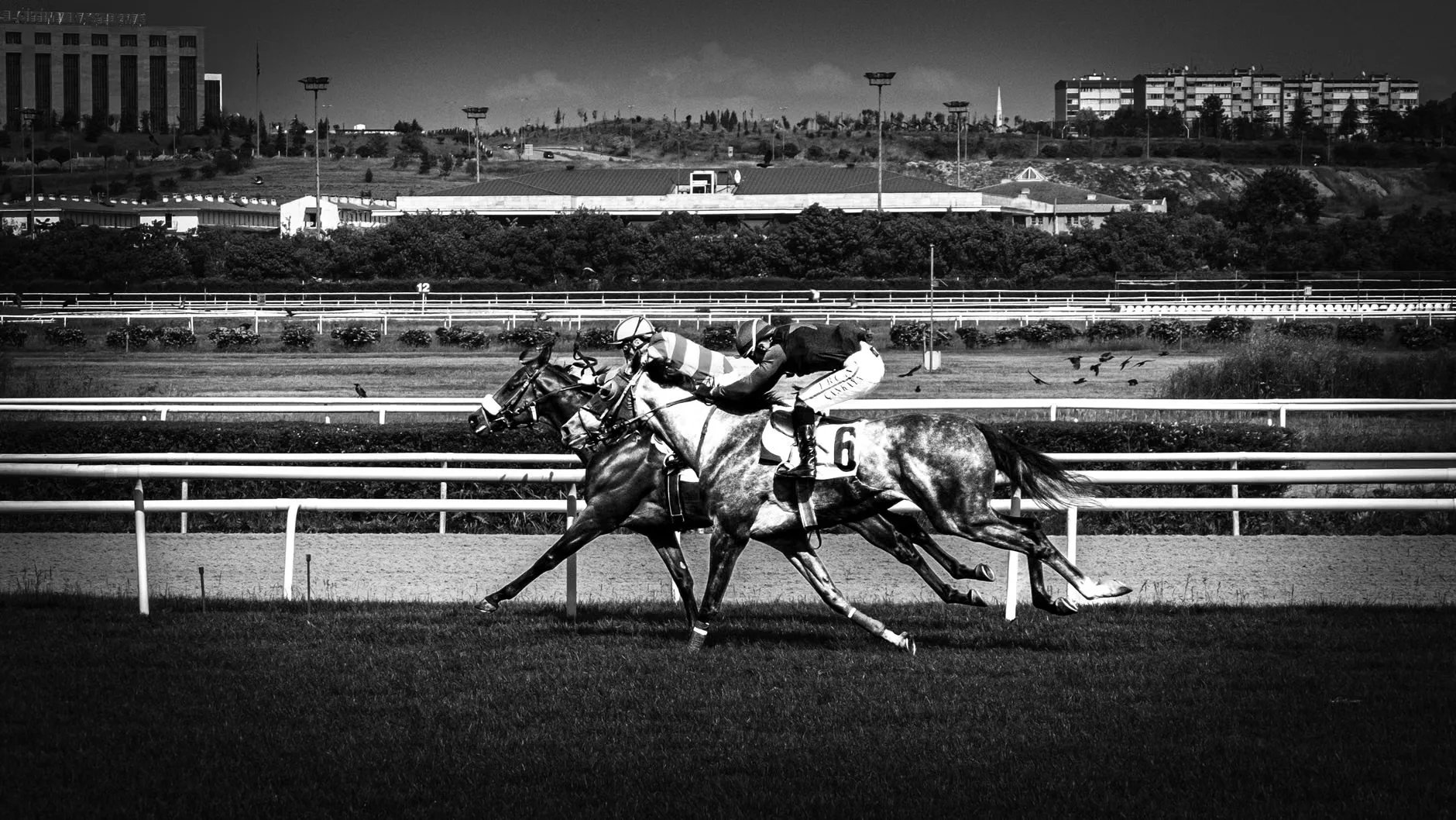 Season Opener - Hereford Racecourse at Hereford Racecourse