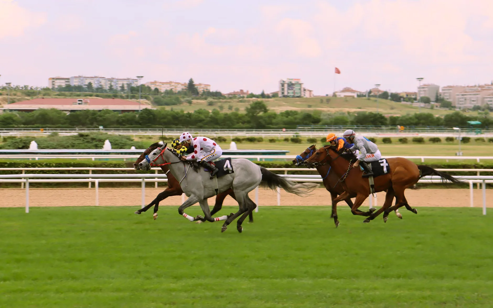 Cheltenham Festival Day 1: Champions Day at Cheltenham Racecourse