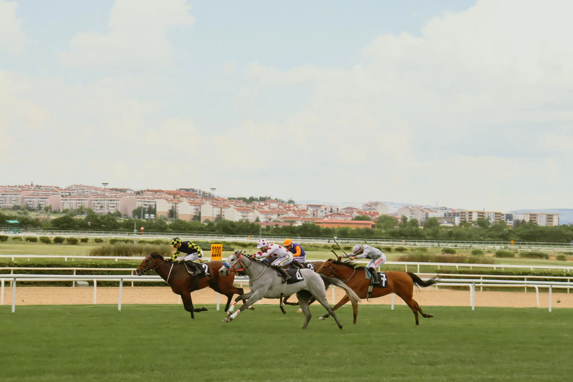 Futurity Trophy Friday - Doncaster Racecourse at Doncaster Racecourse