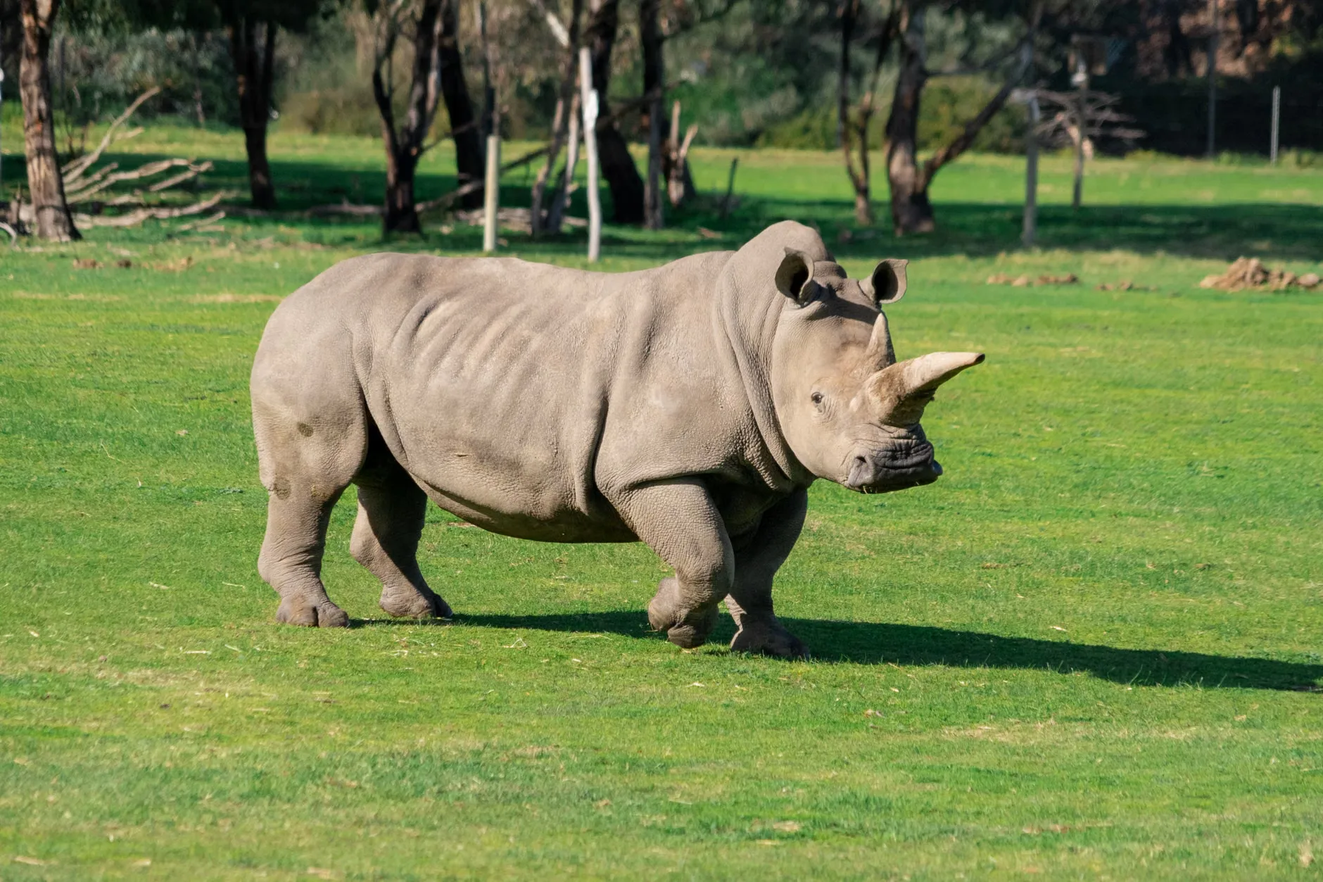 RZSS Careers Day at Edinburgh Zoo - Budongo Trail