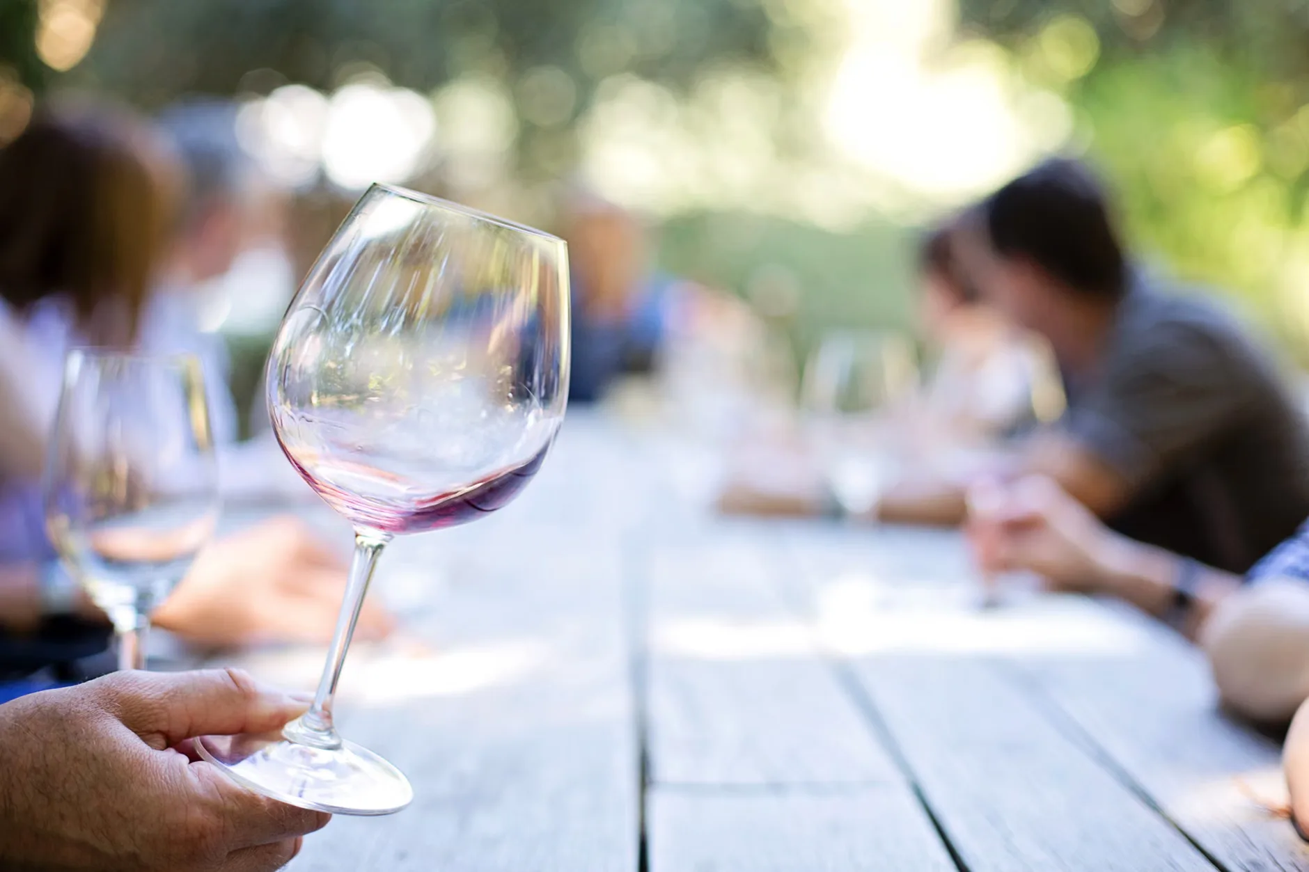 Indoor Wine Tasting Experience at Denbies Wine Estate