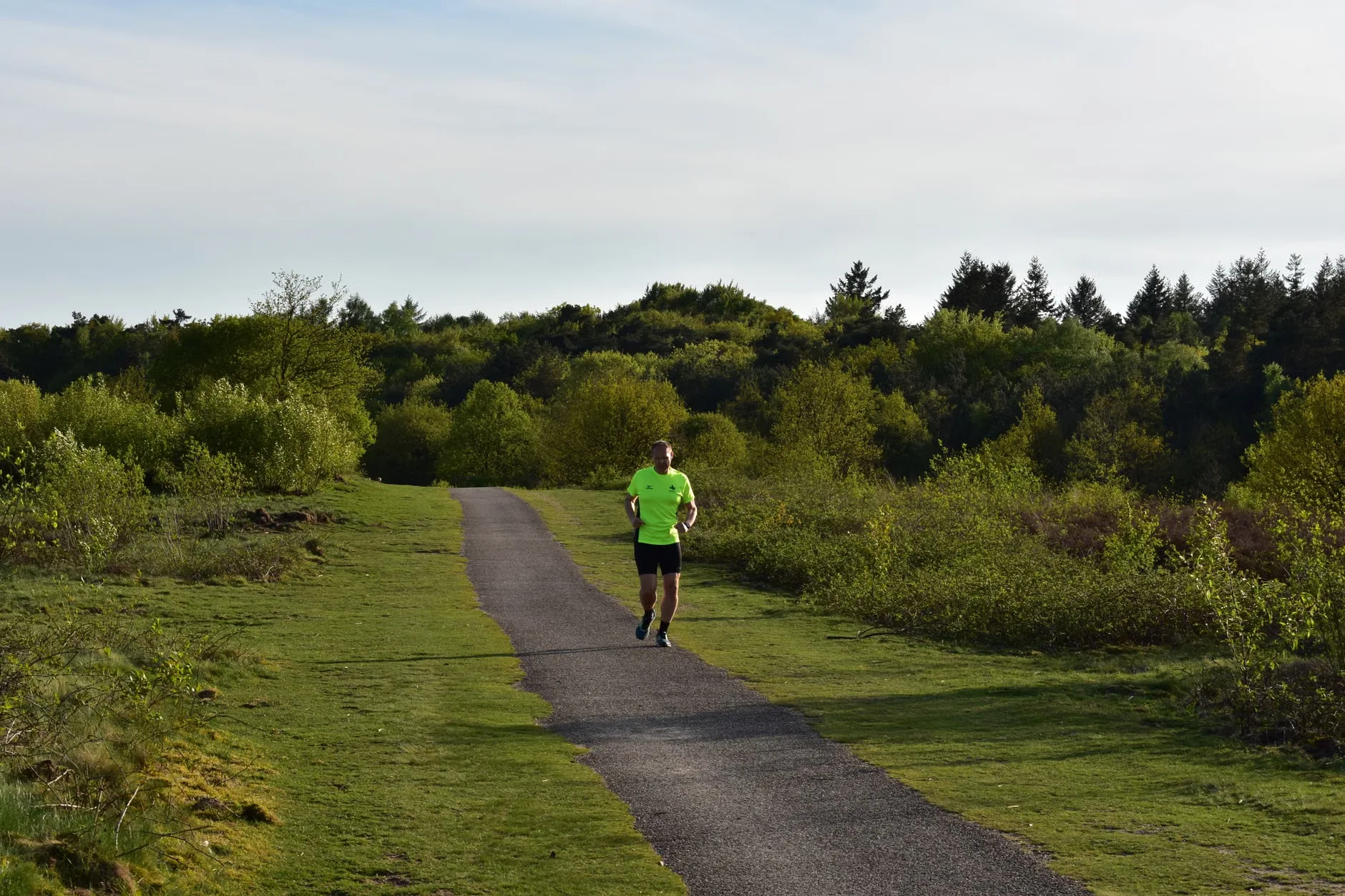 Ranger Ultras PB50km Ultra