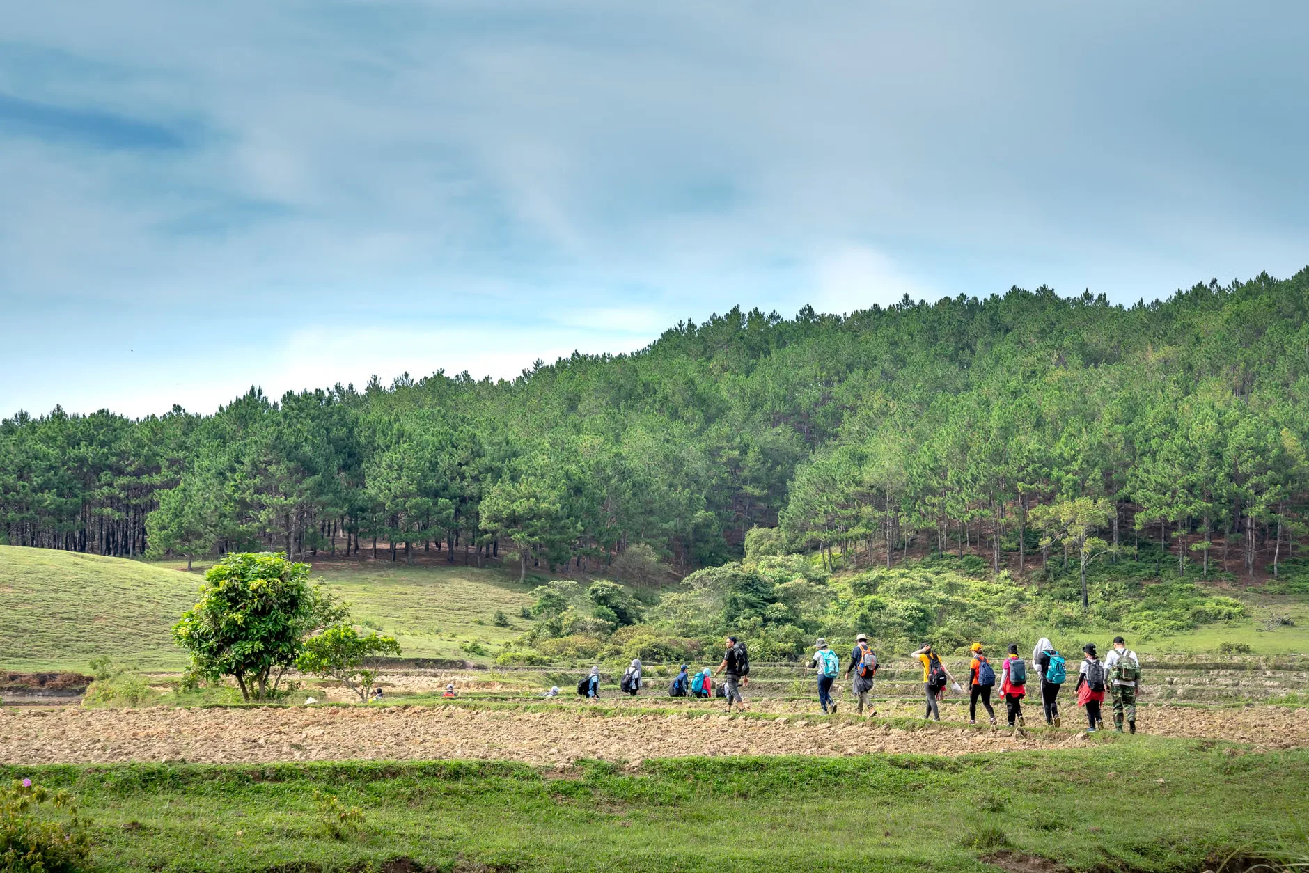 Step Into History Walks - People Who Shaped the Parkland and Gardens at Wentworth Castle Gardens