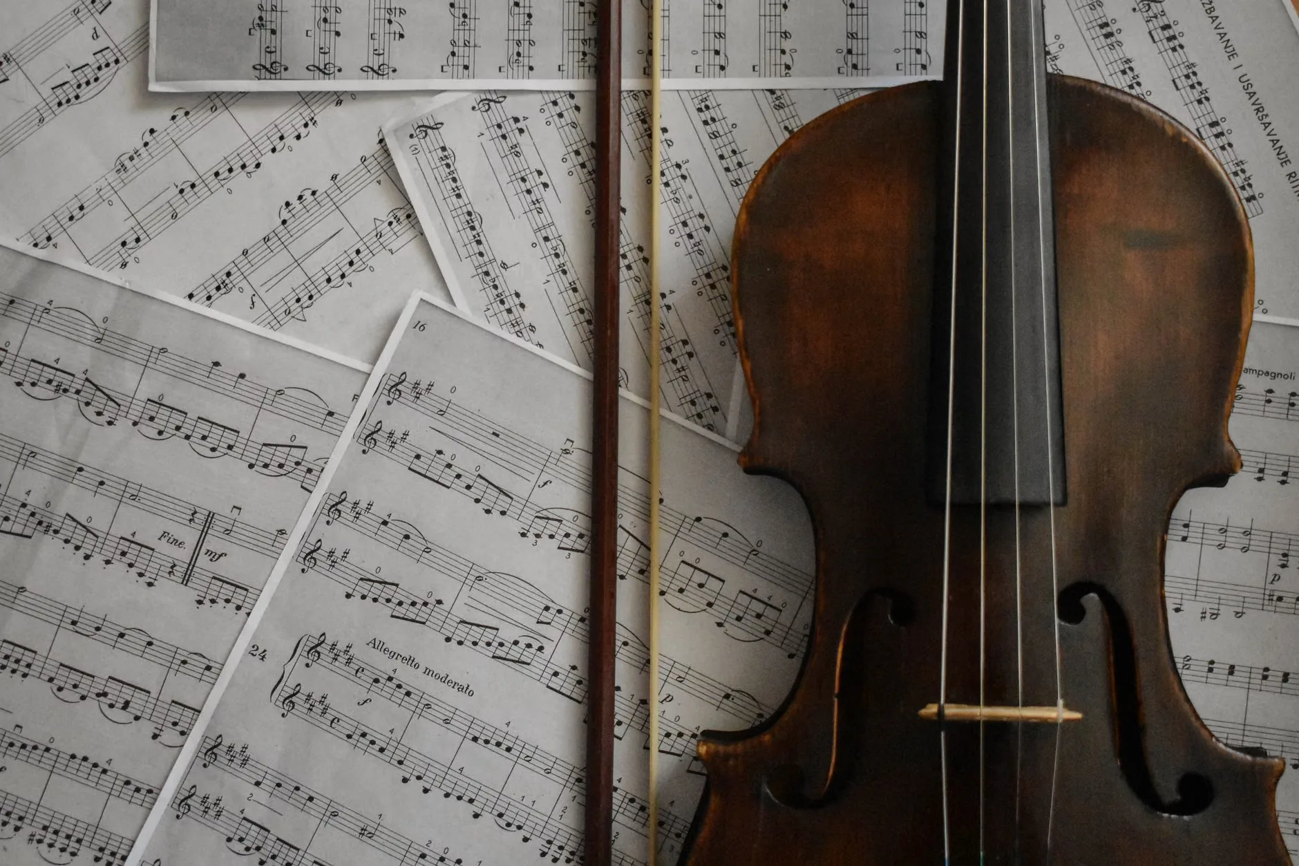 Moonlight Sonata by Candlelight - 19th December, Exeter at Exeter Cathedral