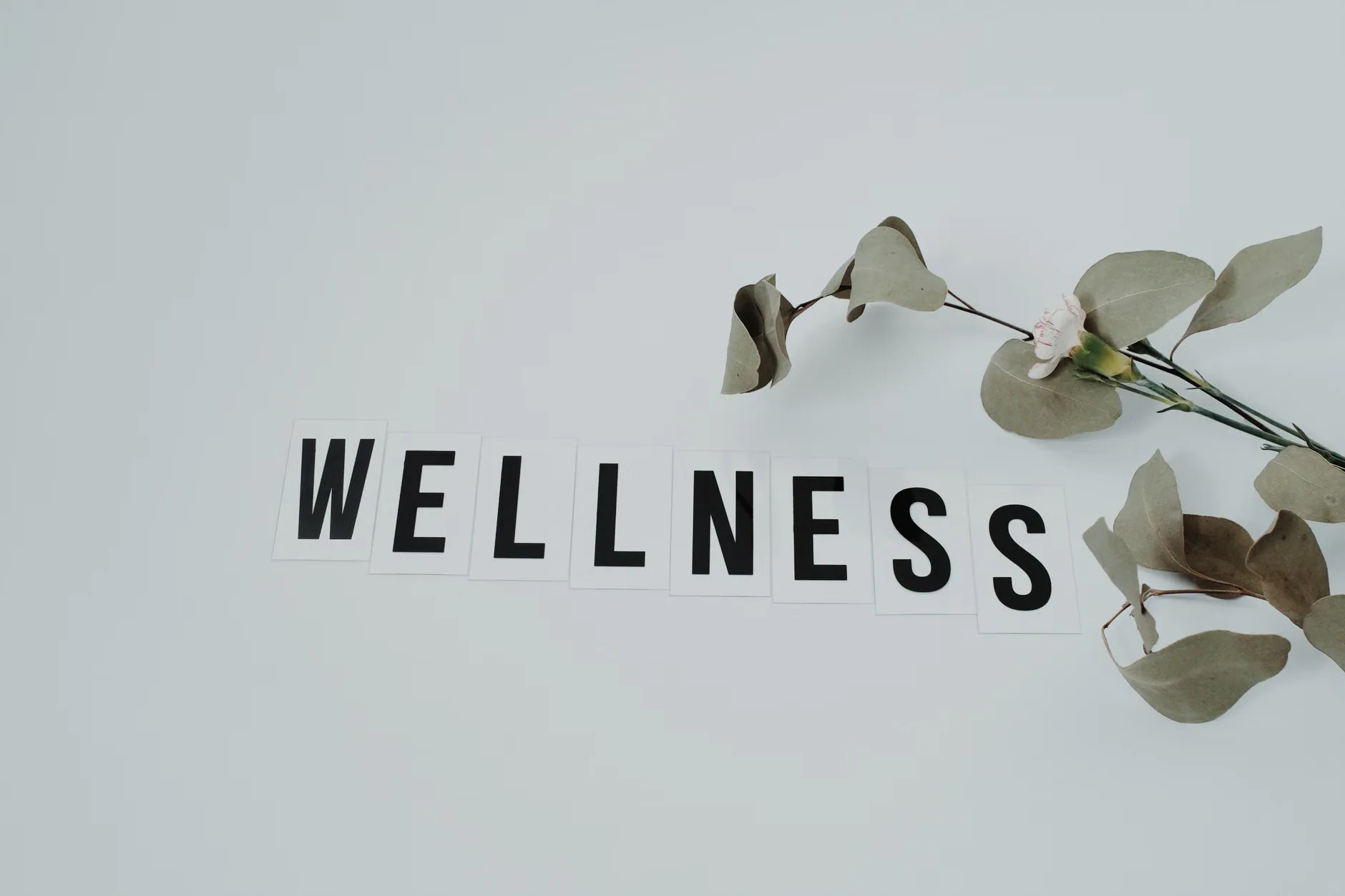 Mental Health First Aid – 2nd, 4th, 9th, & 11th Sept at Location: Online