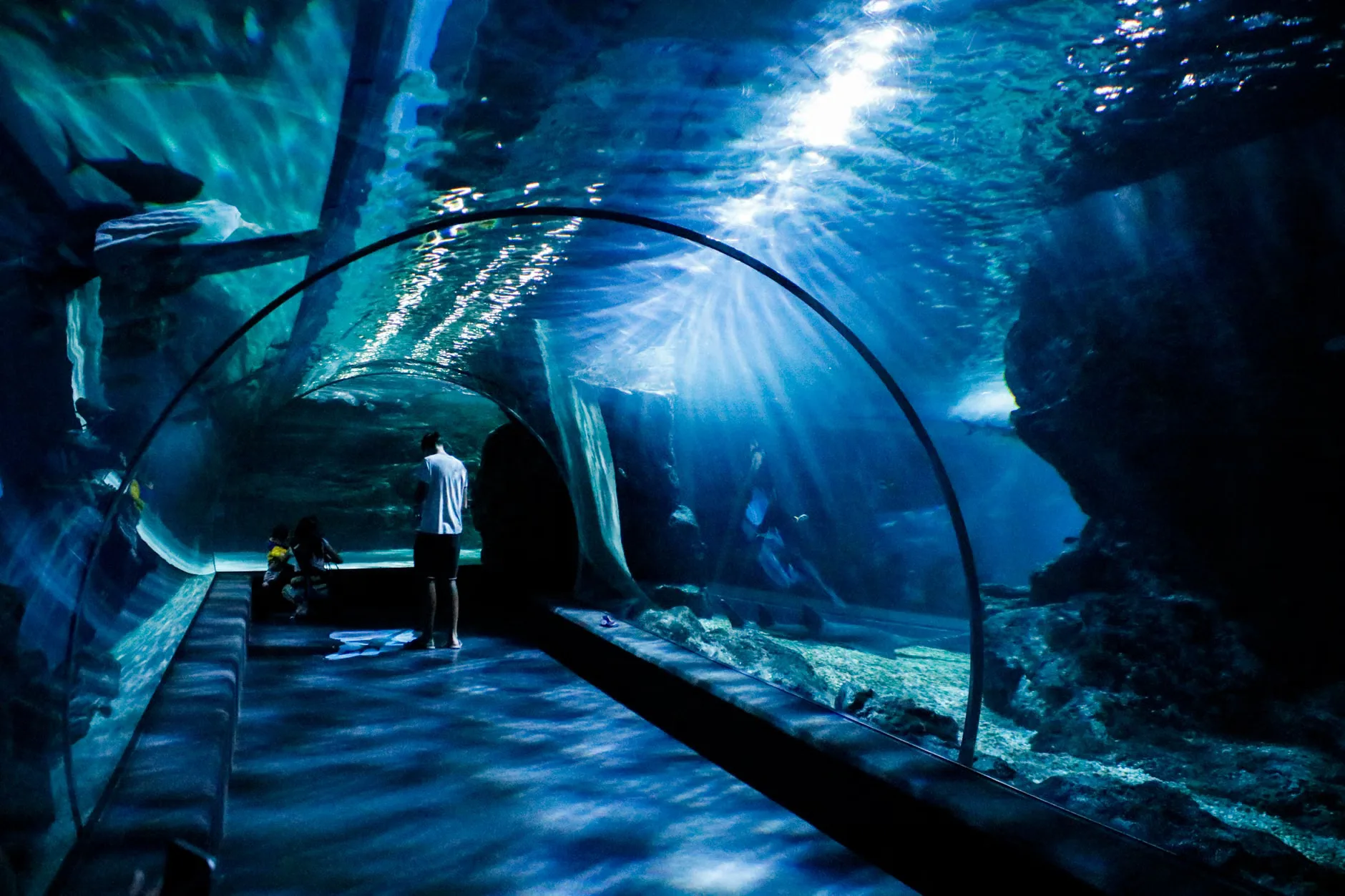 Sea Life Birmingham - Standard Entry