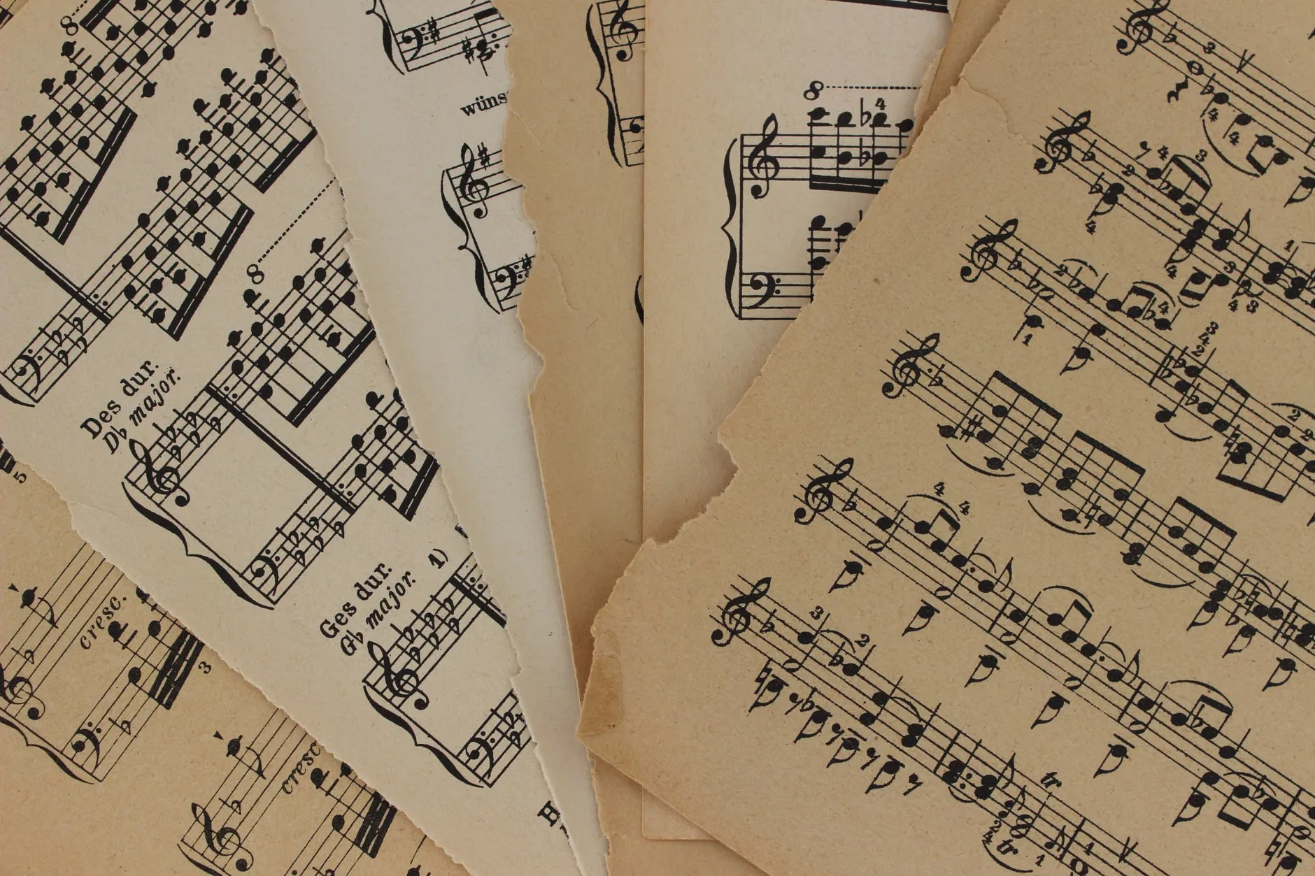 Gorton Philharmonic Orchestra Christmas Concert with Carols