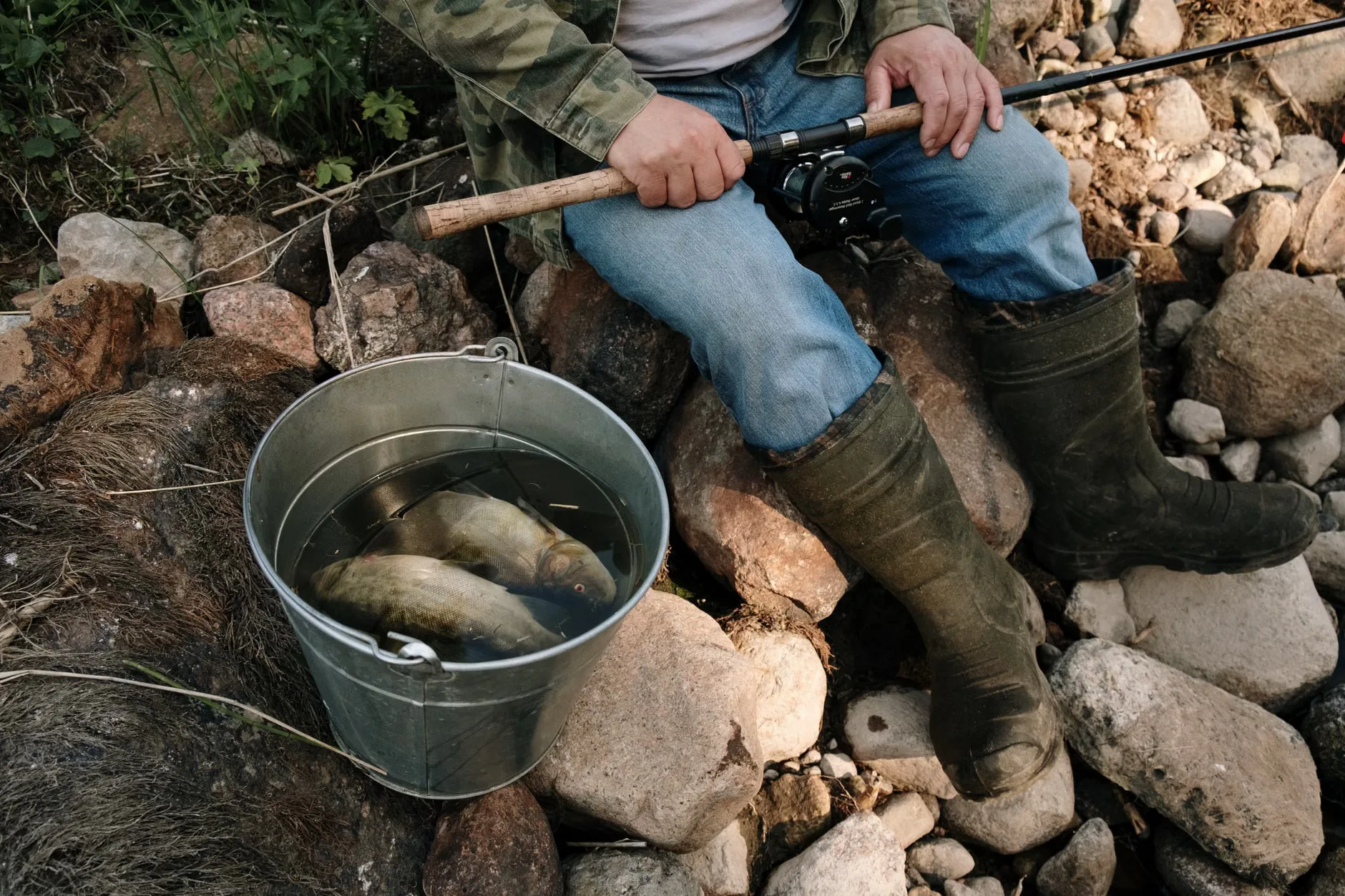 Free Junior Fishing Club | Summerhayes Juniors at Summerhayes Juniors Club
