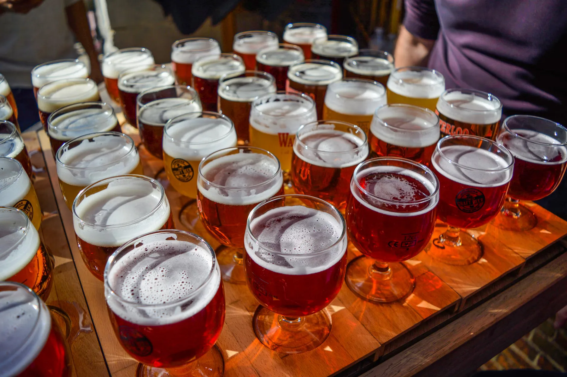 St George's Hall Beer Festival at St George's Hall