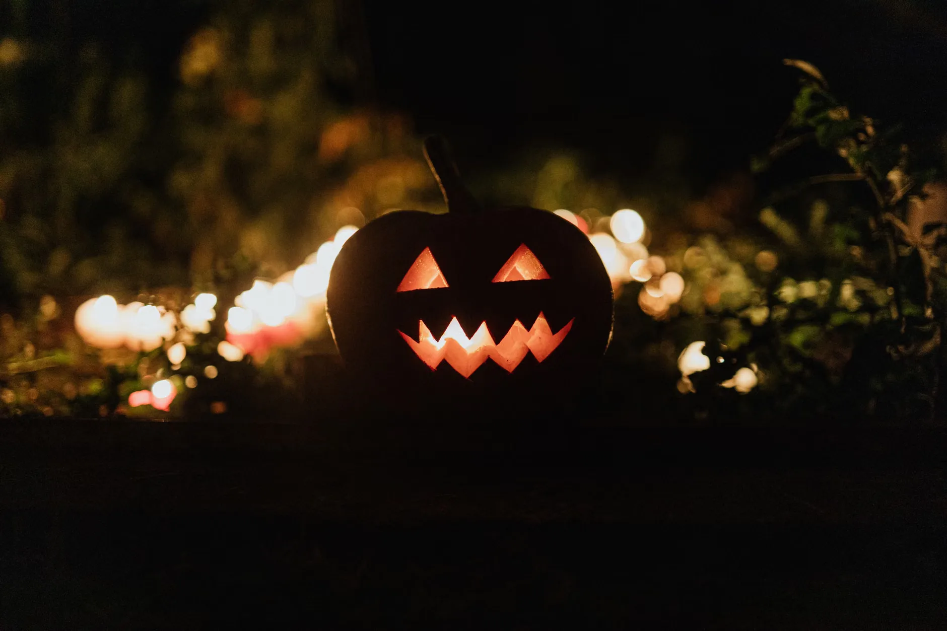 Halloween Illuminations Fright Night at the Rock Houses at Kinver Edge and the Rock Houses