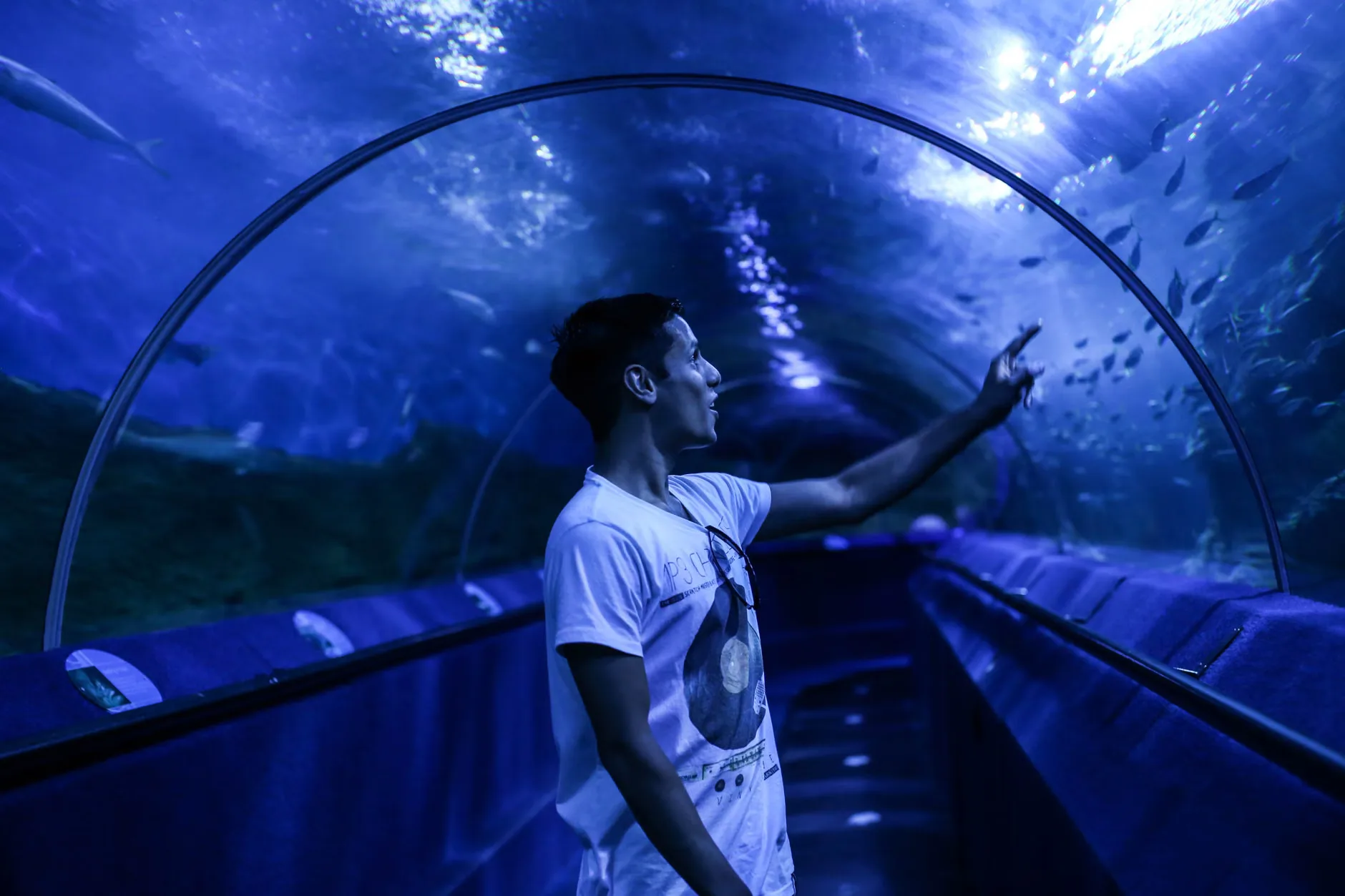 Sea Life Manchester - Standard Entry