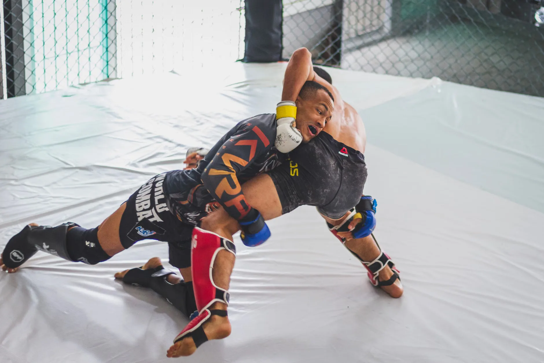 CQ Wrestling at The Bodega