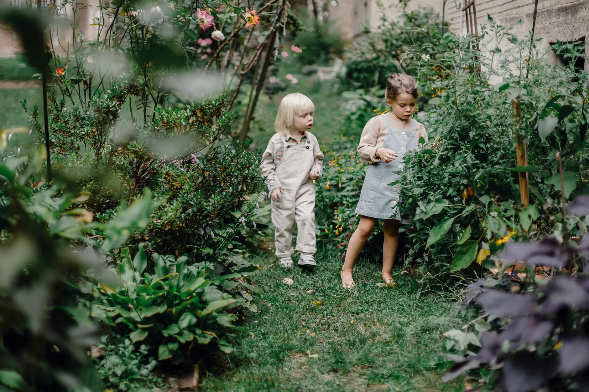Visit to a RHS Garden for Two — Guildford at Woking