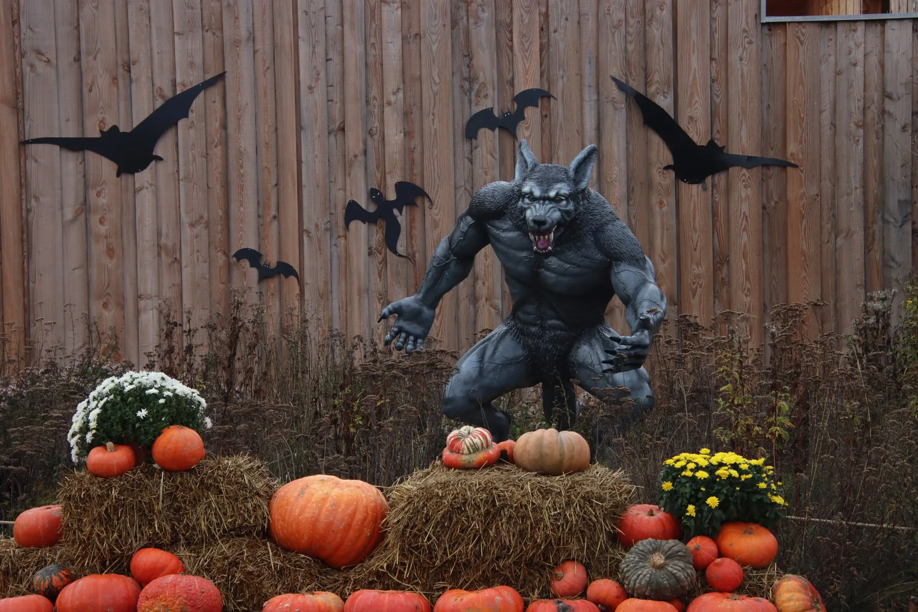 Tierhaus invites Leon Schanzenbach + more: Halloween special Newington at Summerhall
