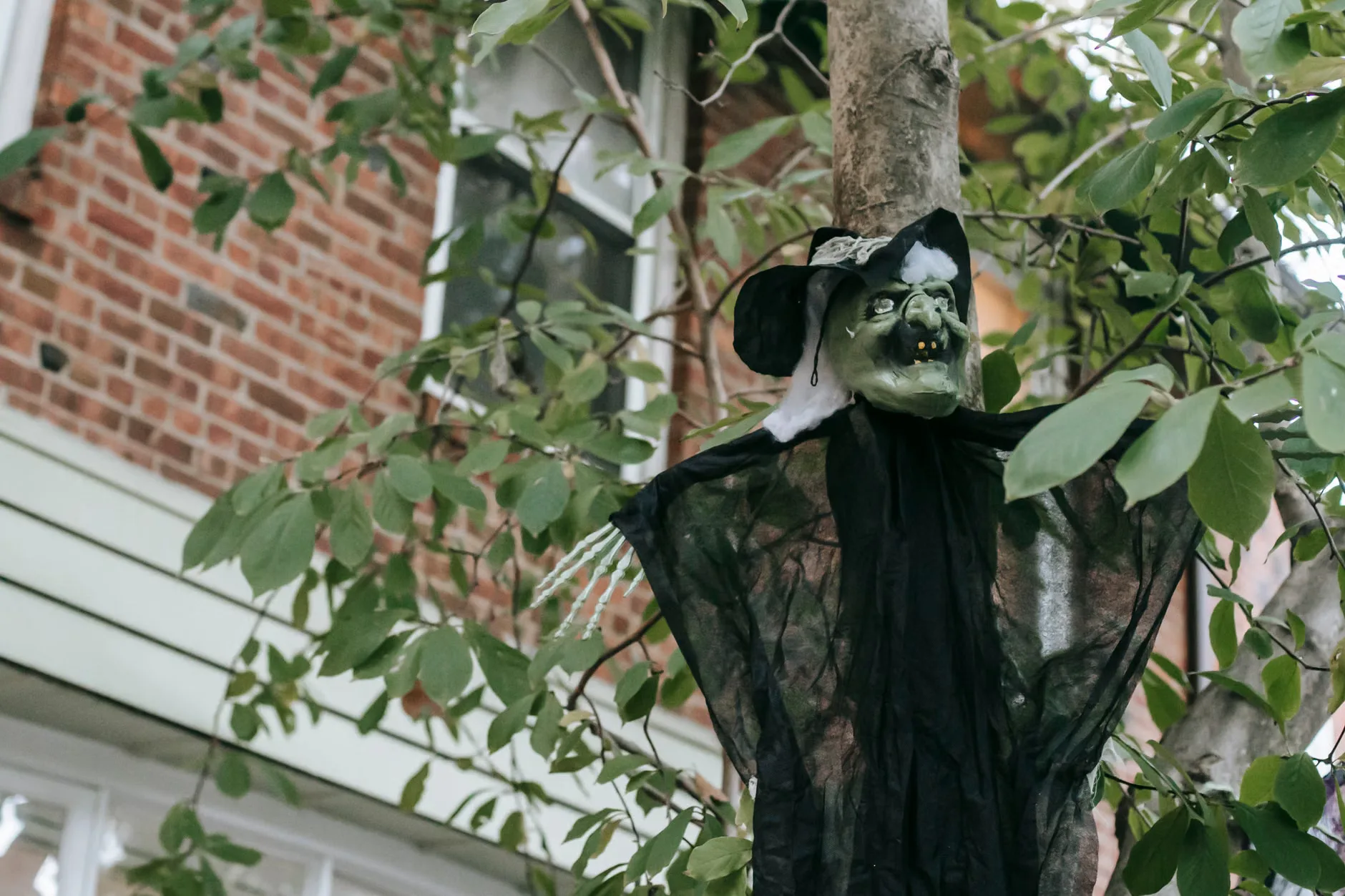 LLOUS X Red Arch Halloween house party