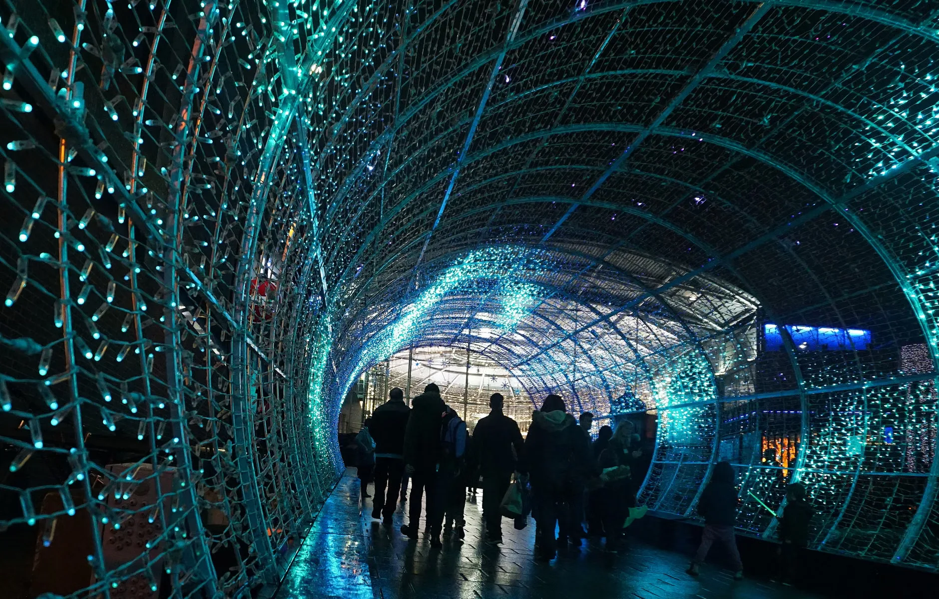 Sea Life London - Standard Entry