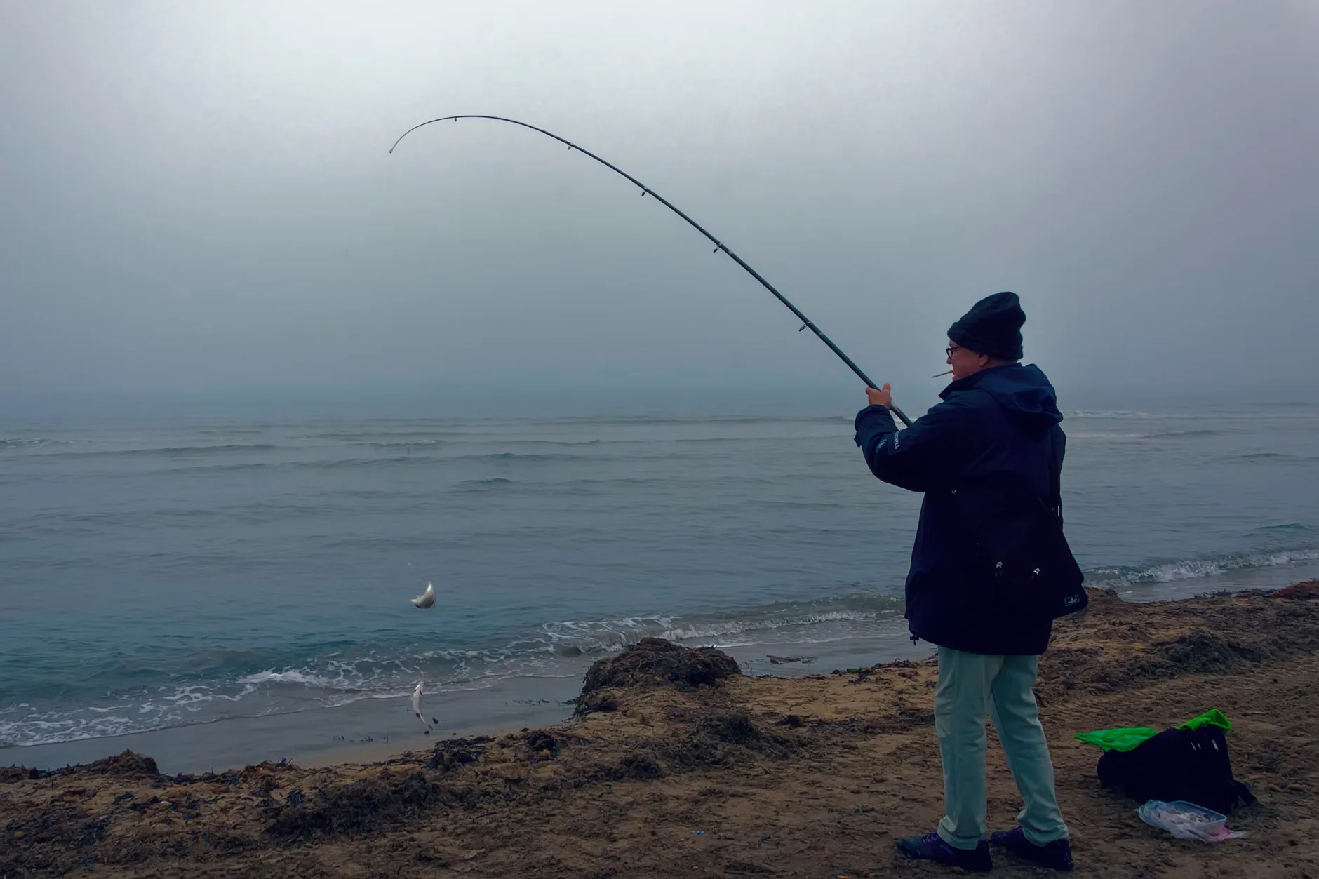 Free Junior Fishing Coaching | Highbridge Angling Association Juniors at Walrow Ponds