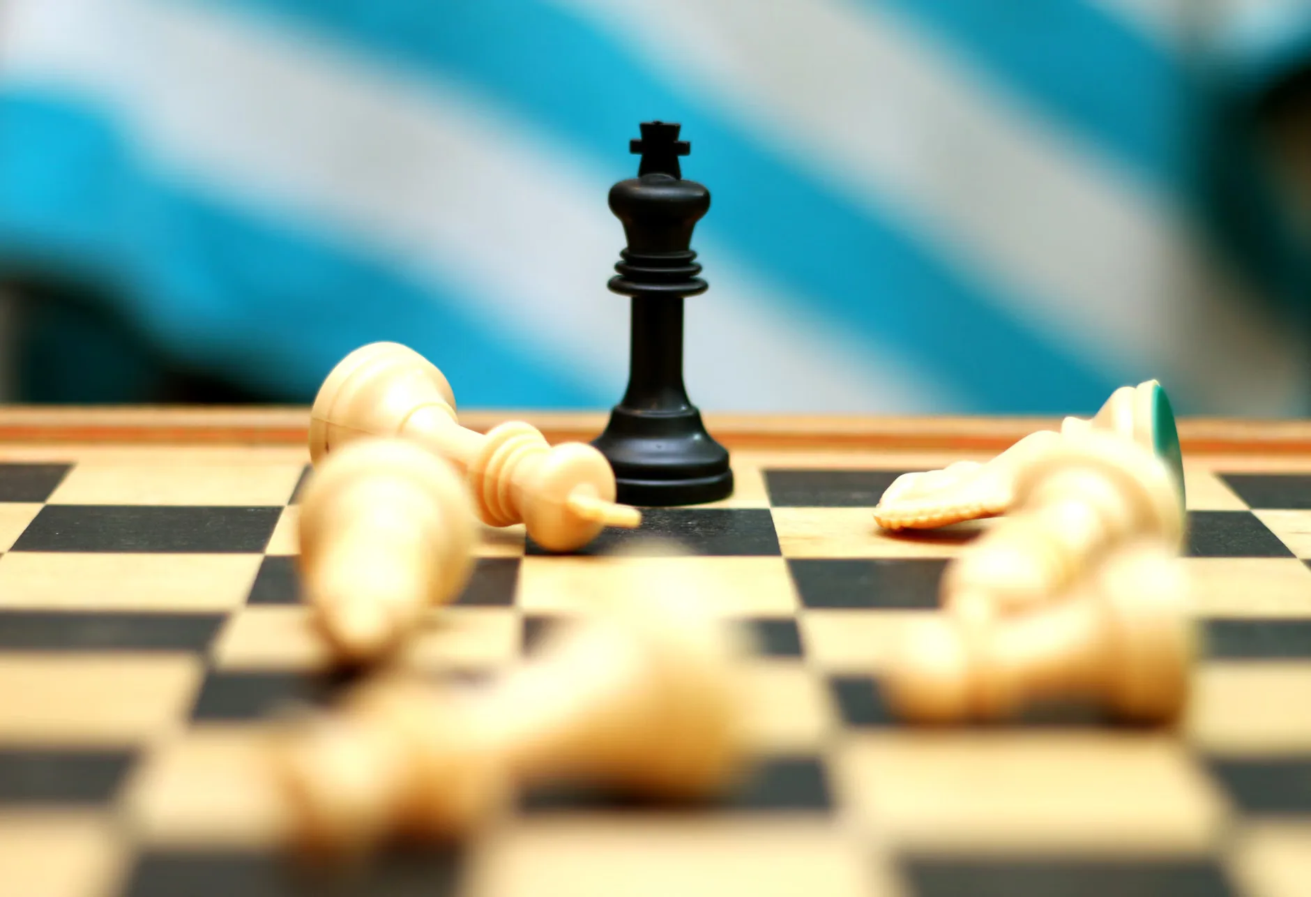 Children’s Chess Tournament at The Eversfield Centre