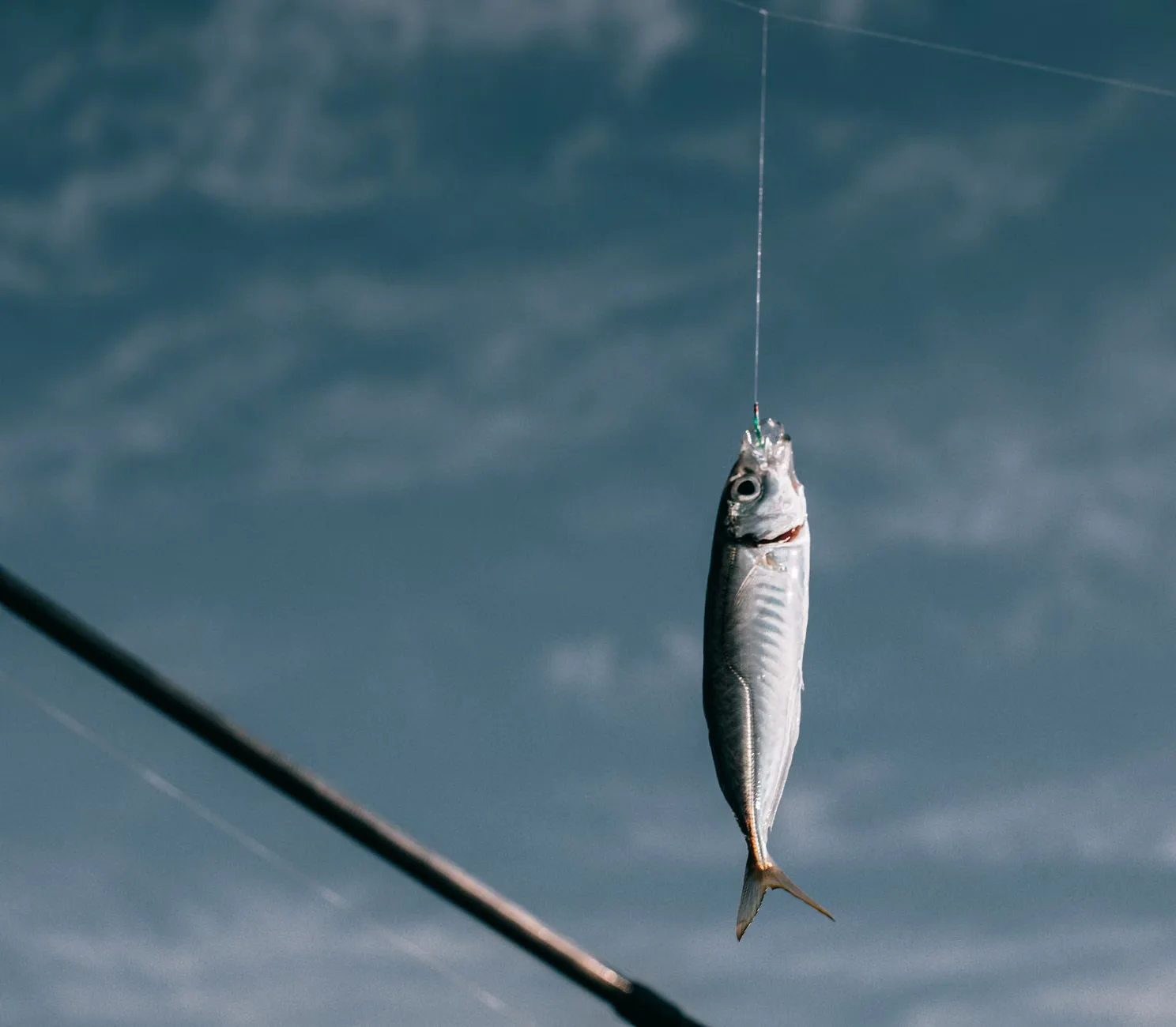 Intro to Fly Fishing at chalk springs trout fishery
