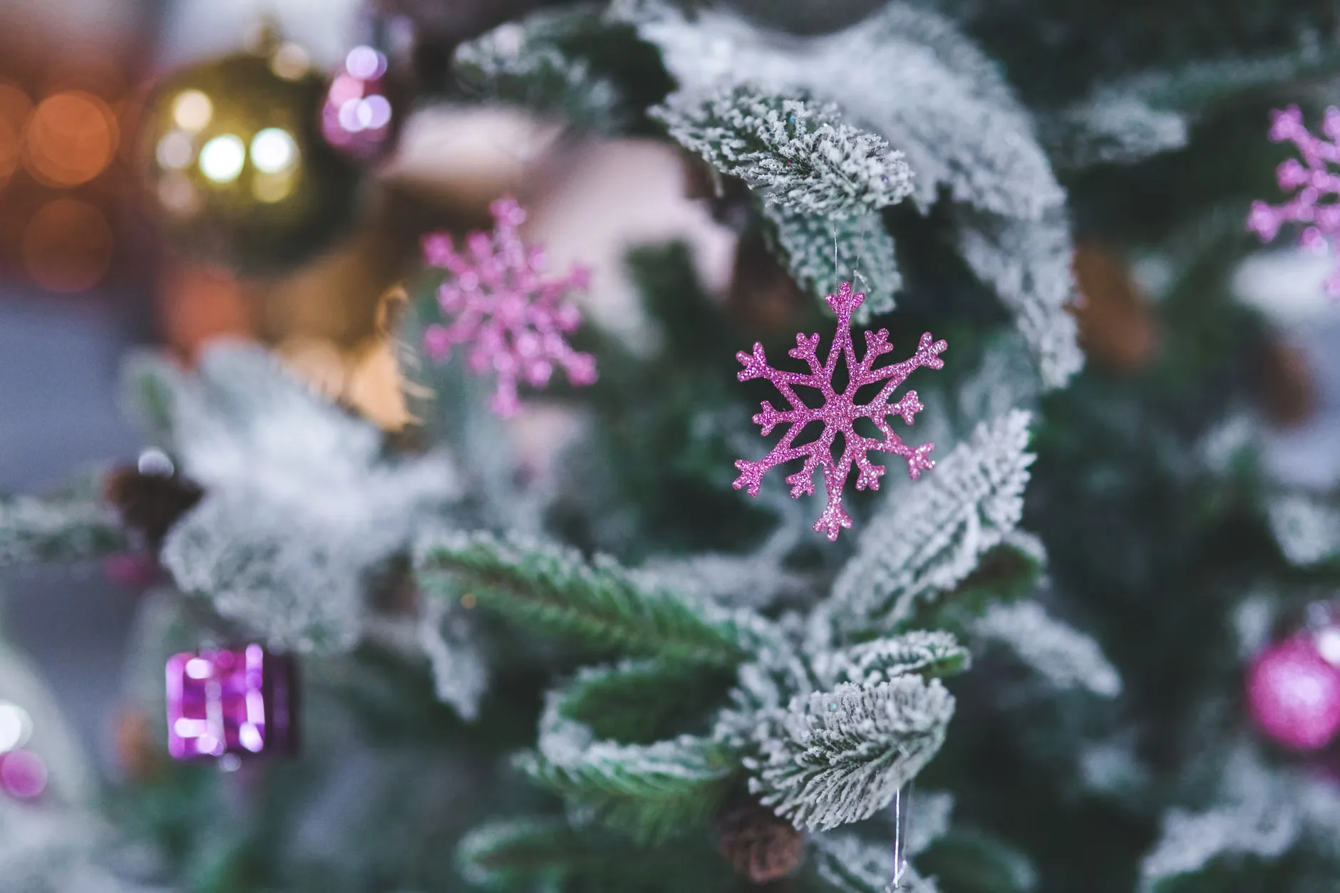 soulcity - last dance before christmas (special) at Jazz Cafe