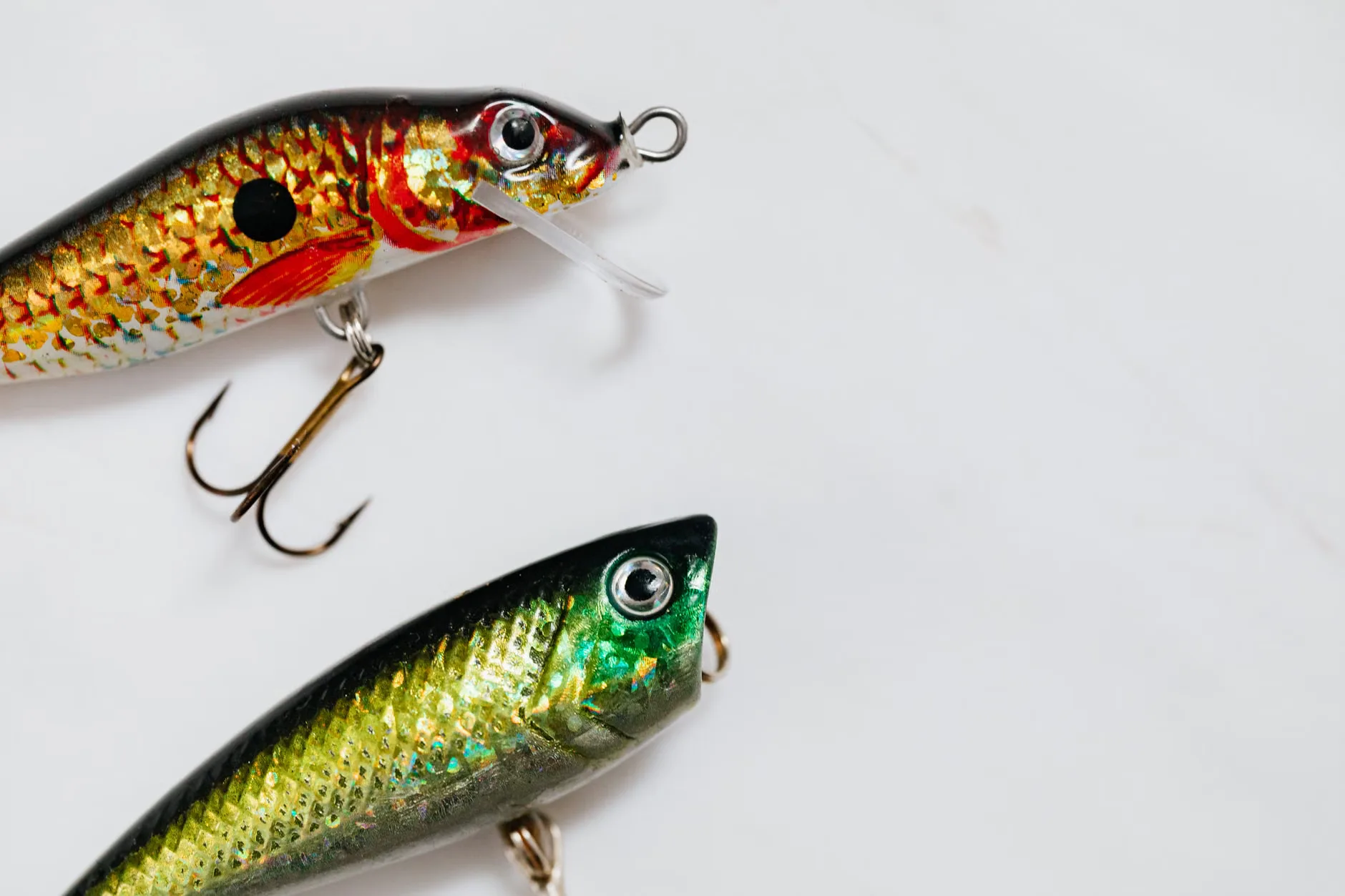Free Junior Fishing Club | Summerhayes Juniors at Summerhayes Juniors Club