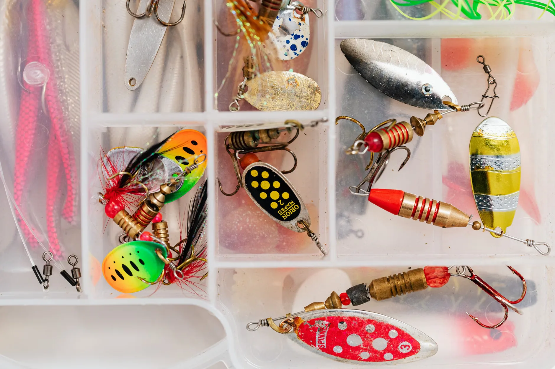 Free Junior Fishing Club | Summerhayes Juniors at Summerhayes Juniors Club