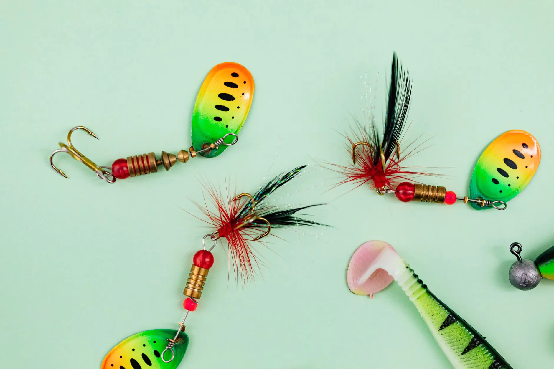 Hooked on Fishing - Combwich at Combwich Ponds