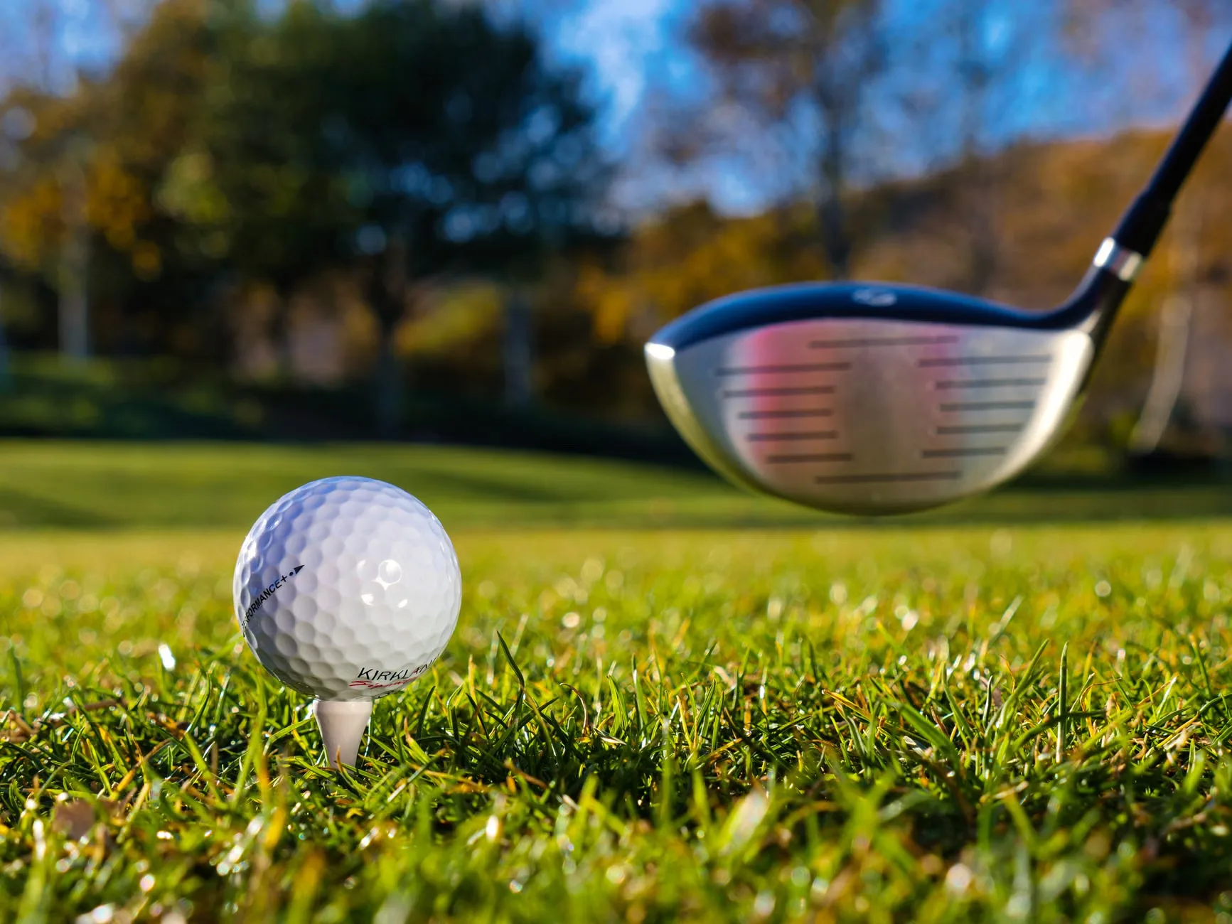 Diss Business Forum at Diss Golf Club