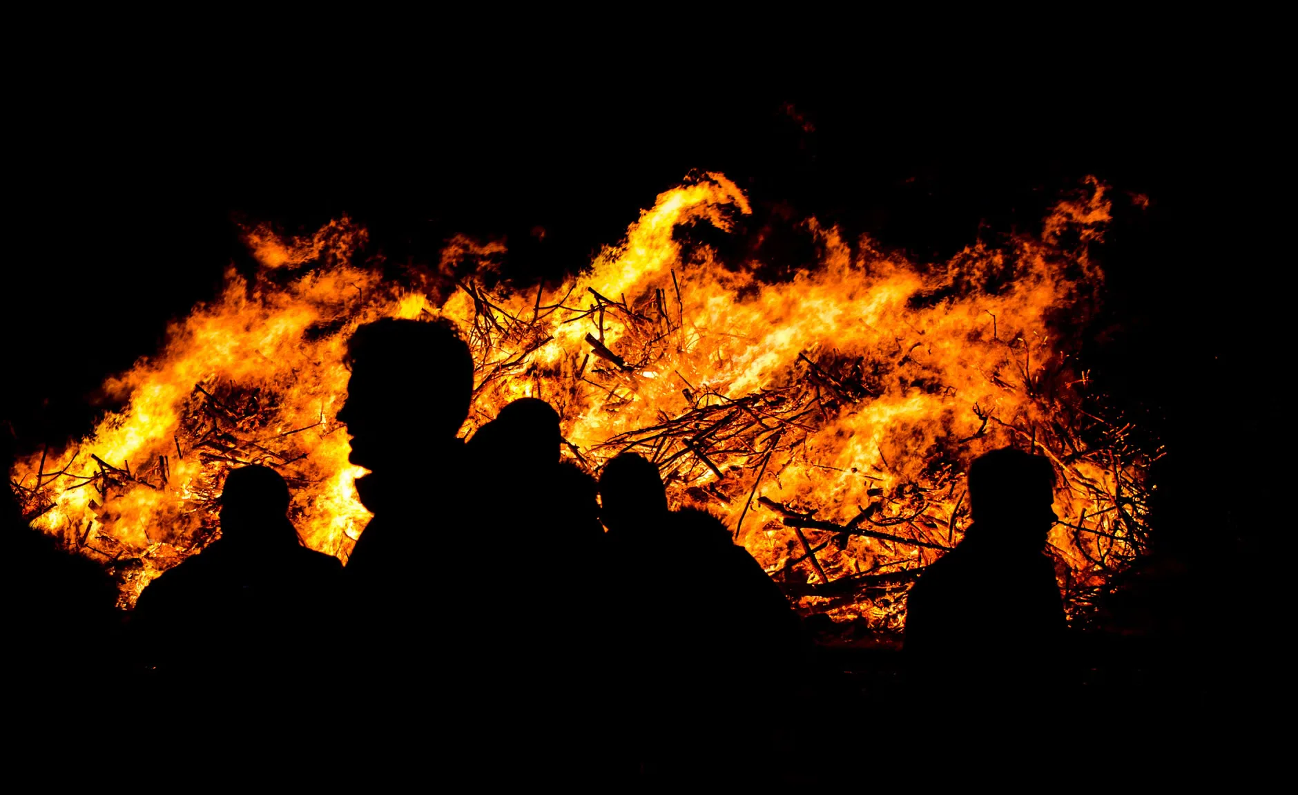 Bonfire Night at Middleton Lodge Estate at The Fig House