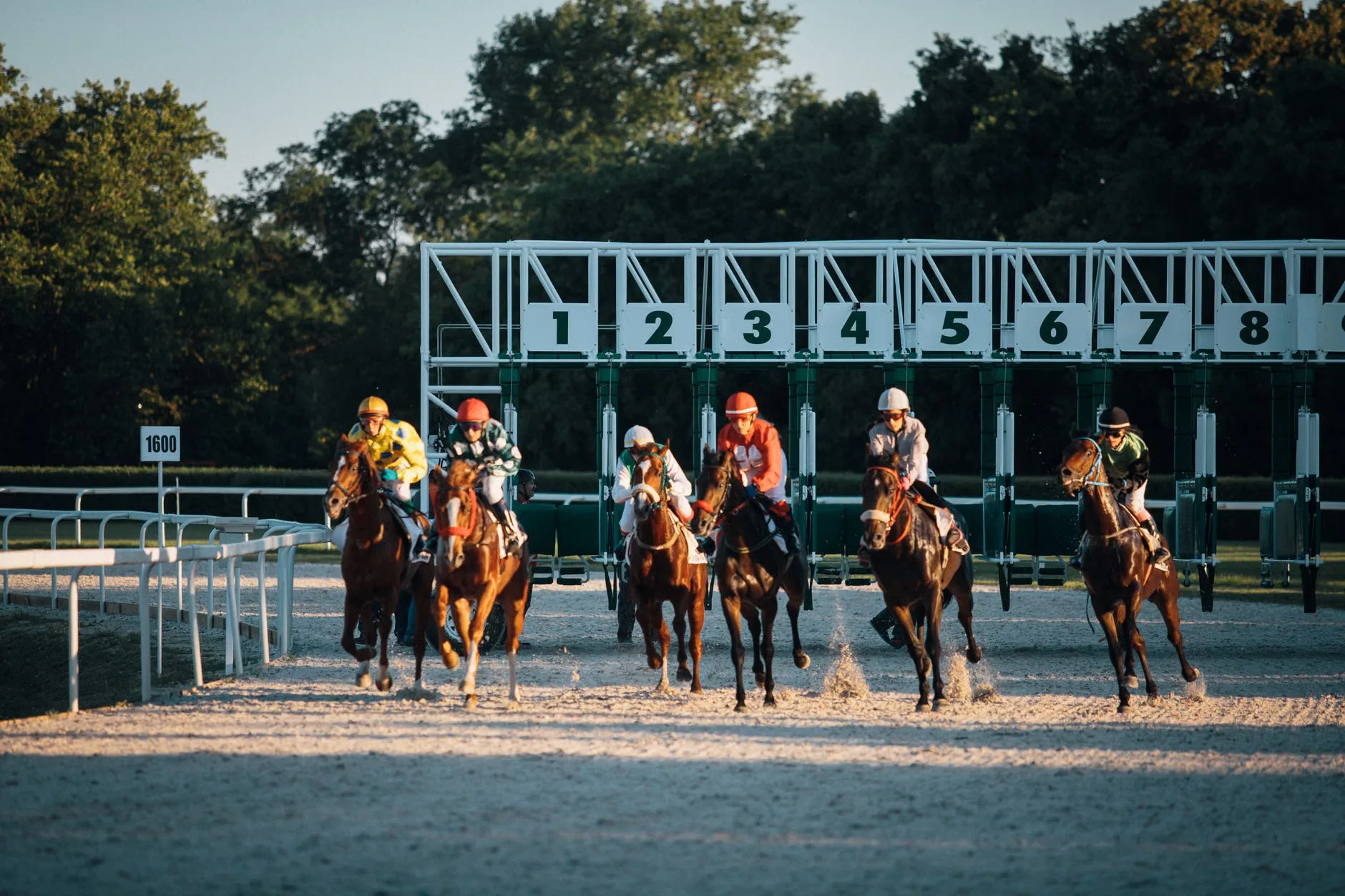 Pete Tong at Haydock Park Racecourse