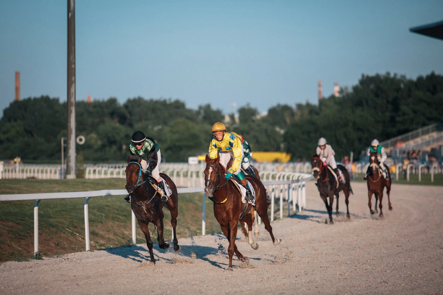Northumberland Plate Day - Newcastle Racecourse