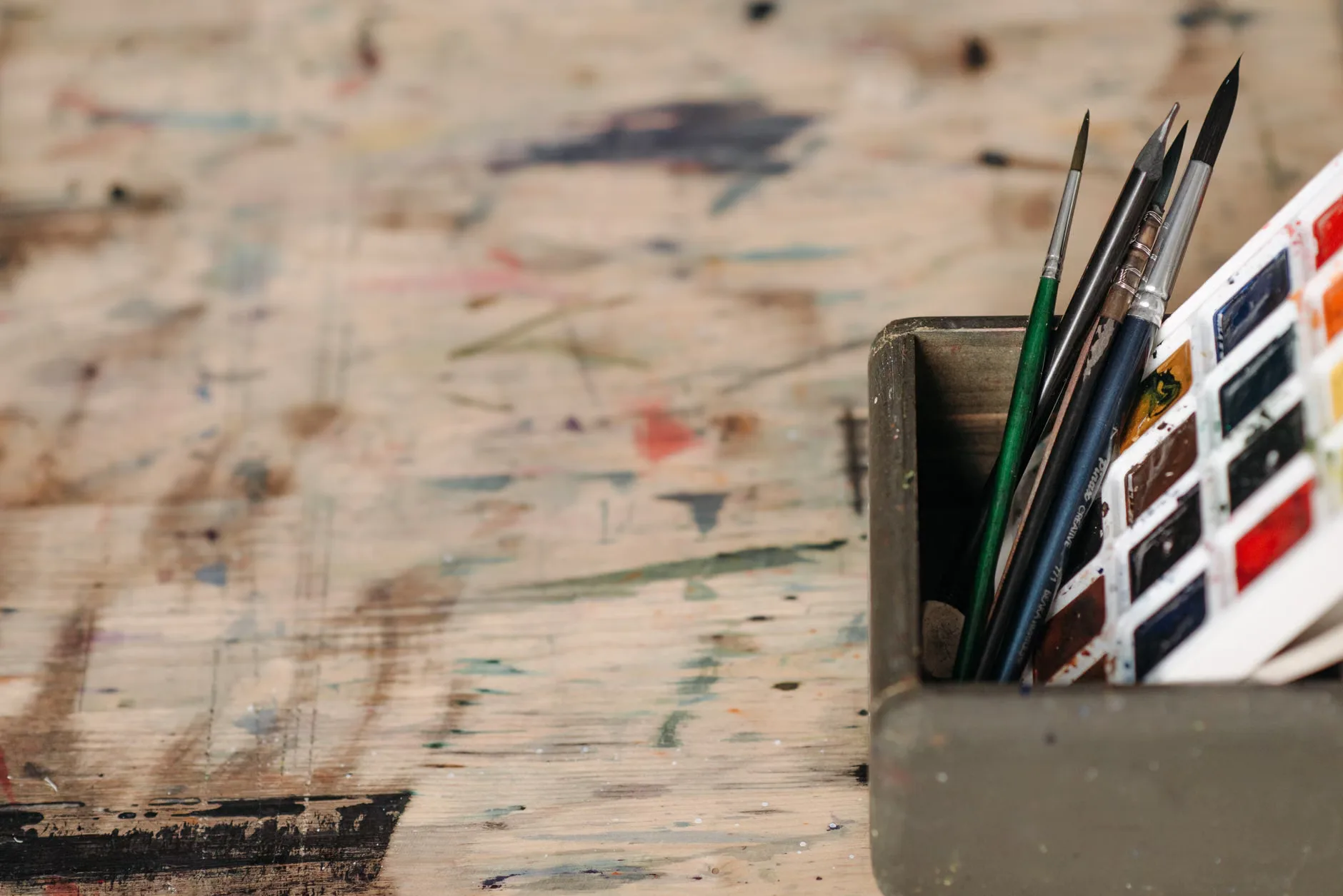 Paint, Sip and Plant - Funky Faces at The Studio @ 12a