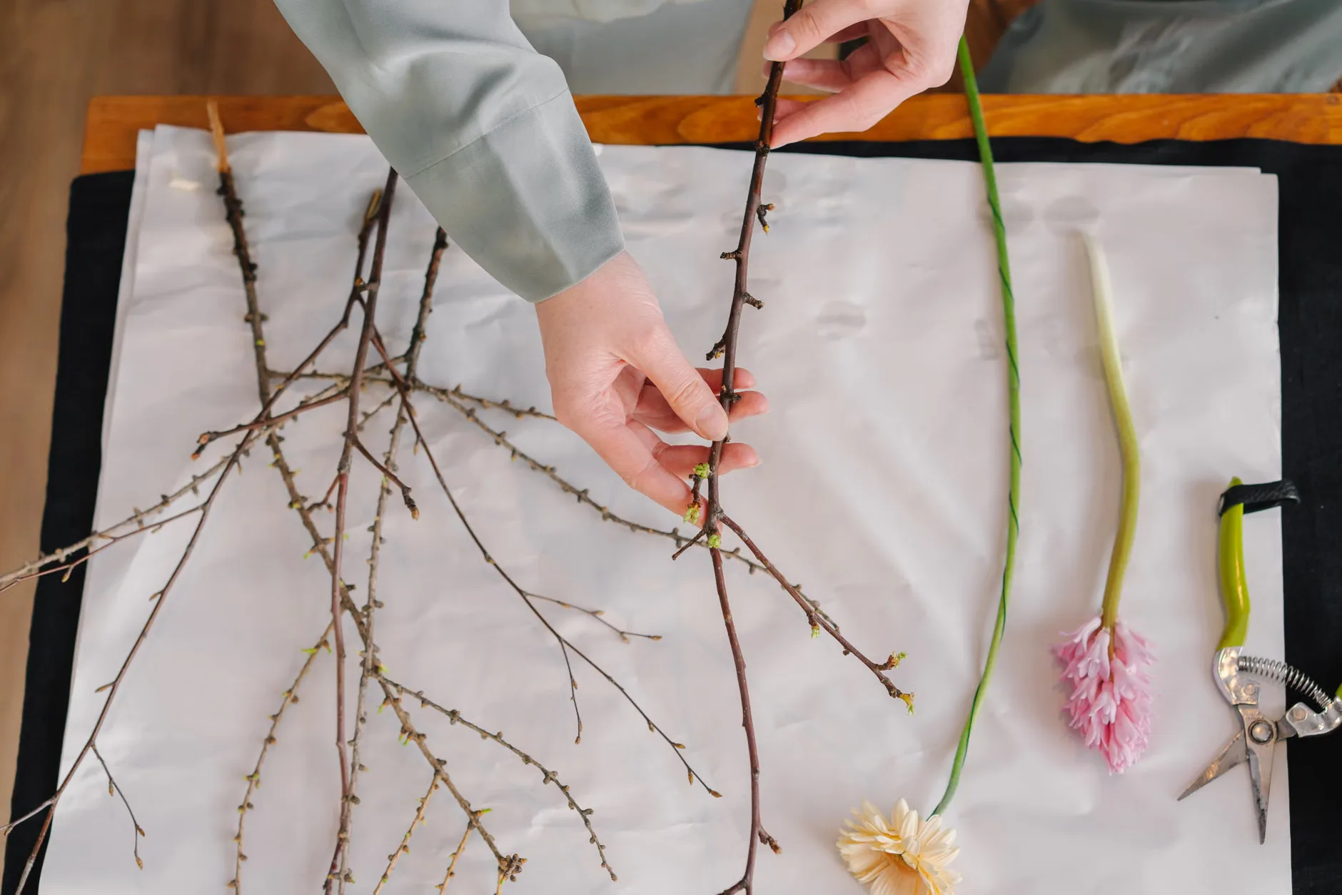 Discover houseplants workshop at Quarry Bank