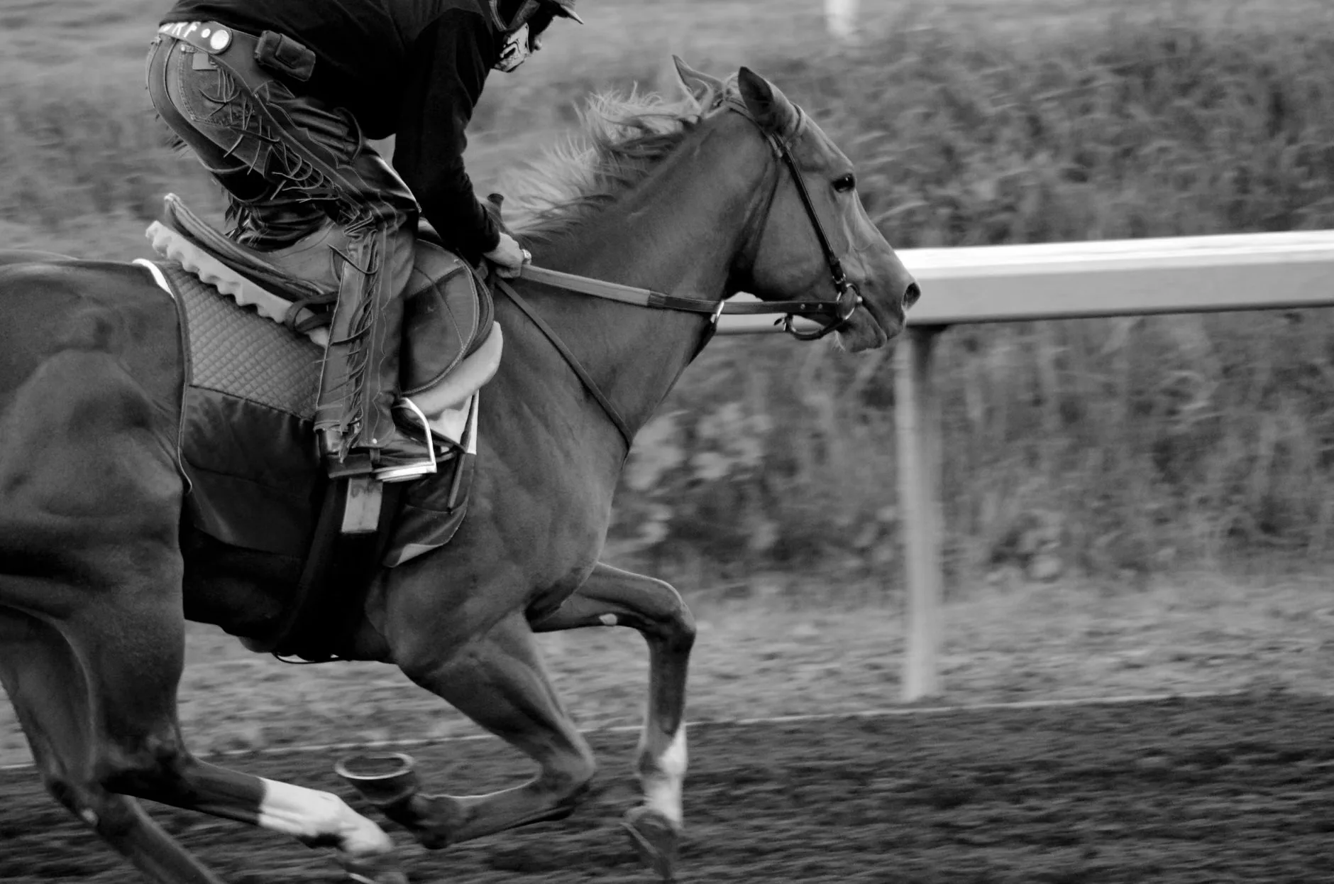 Autumn Floodlit Racing - Newcastle Racecourse at Newcastle Racecourse