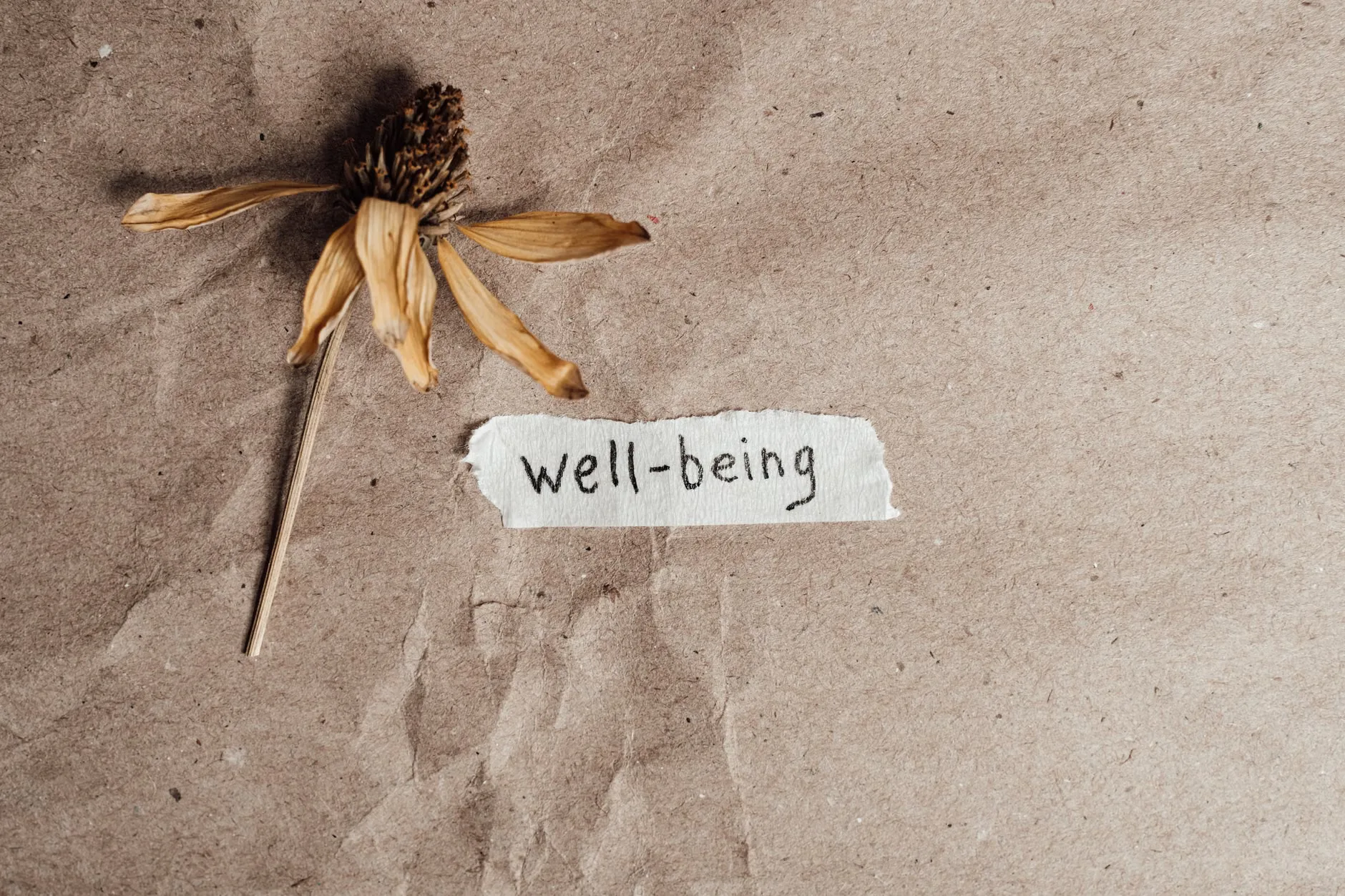 Self-Care and Relaxation Session at Newquay Orchard