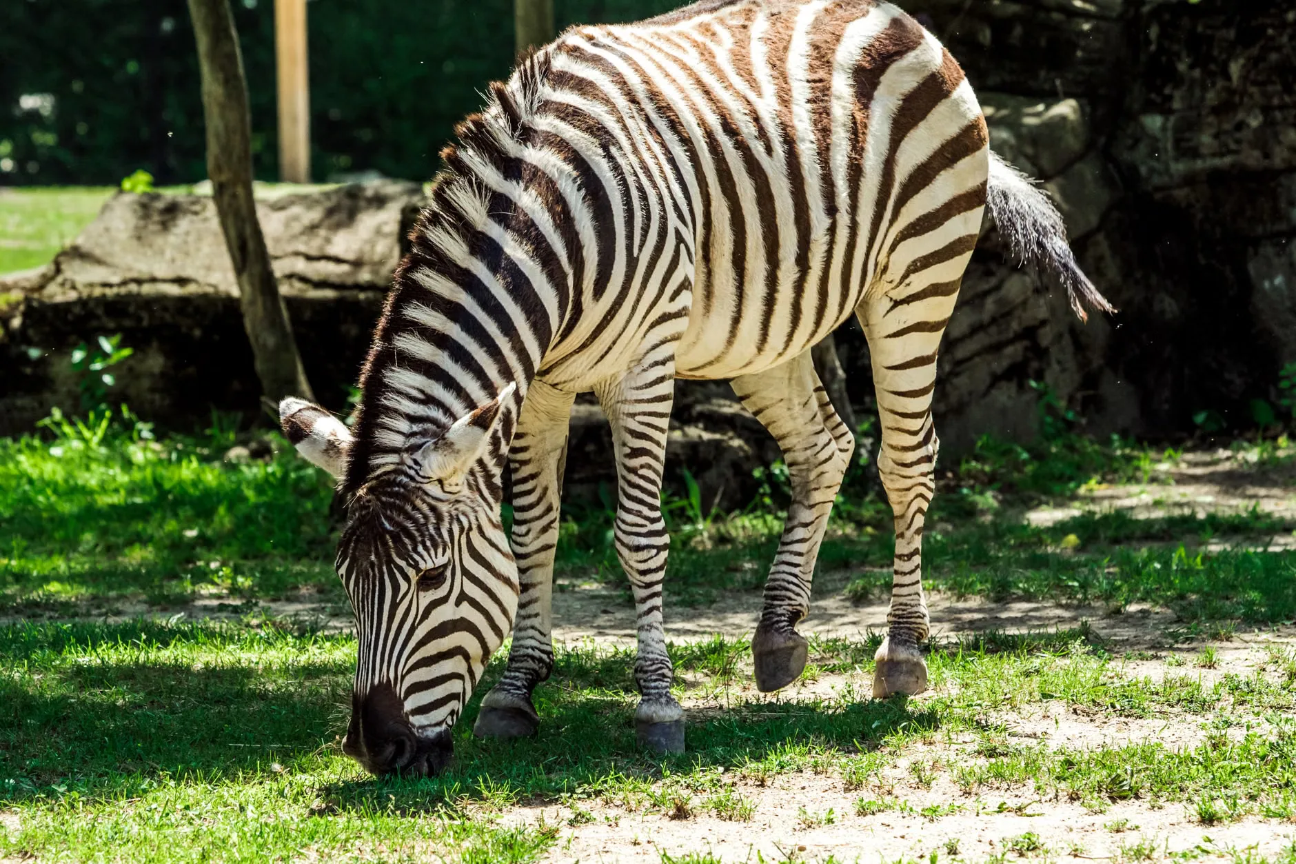 TRIP: Y12 Business Trip Yorkshire Wildlife Park TBC at John Taylor High School
