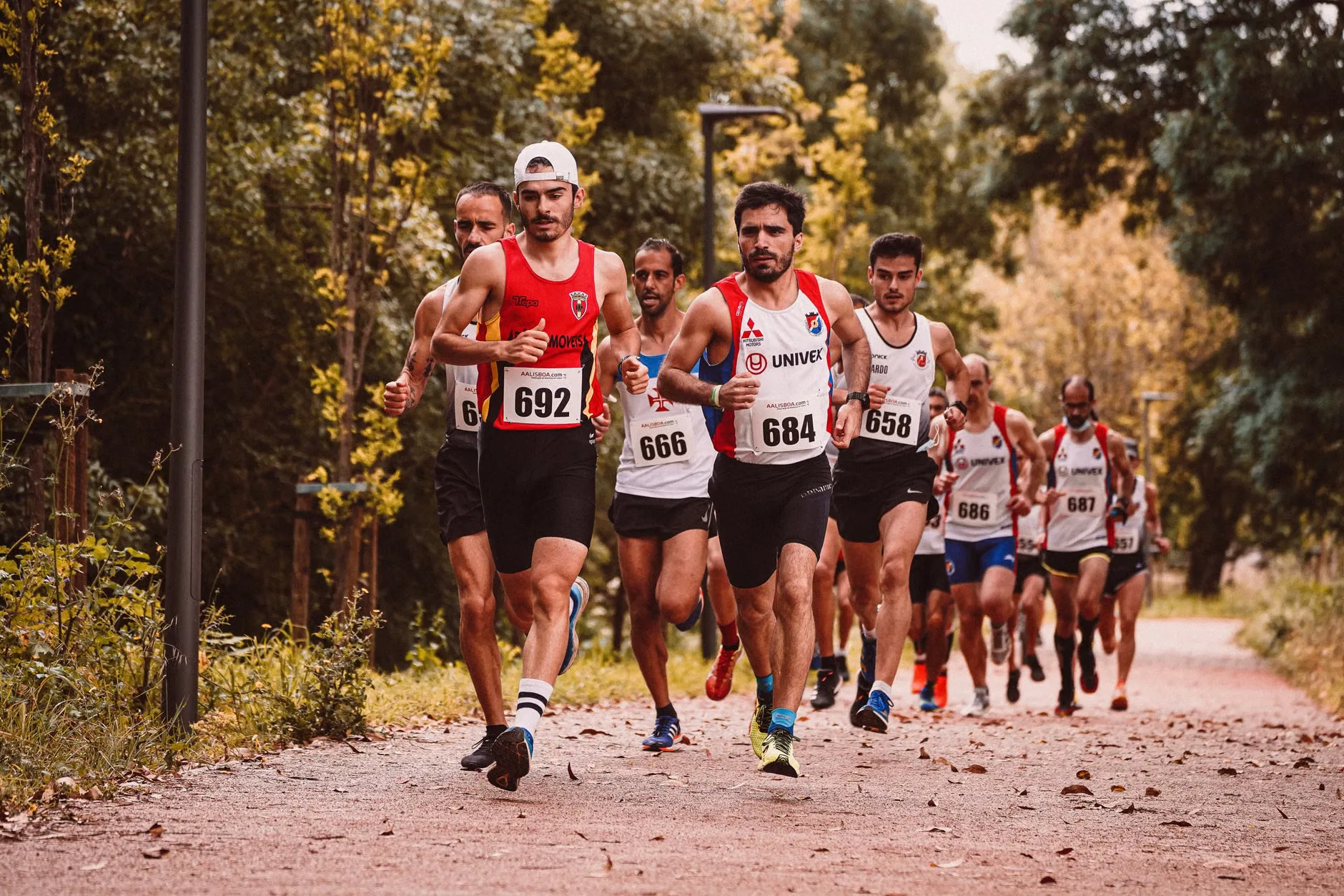 Badger Challenge at Beacon Hill Country Park