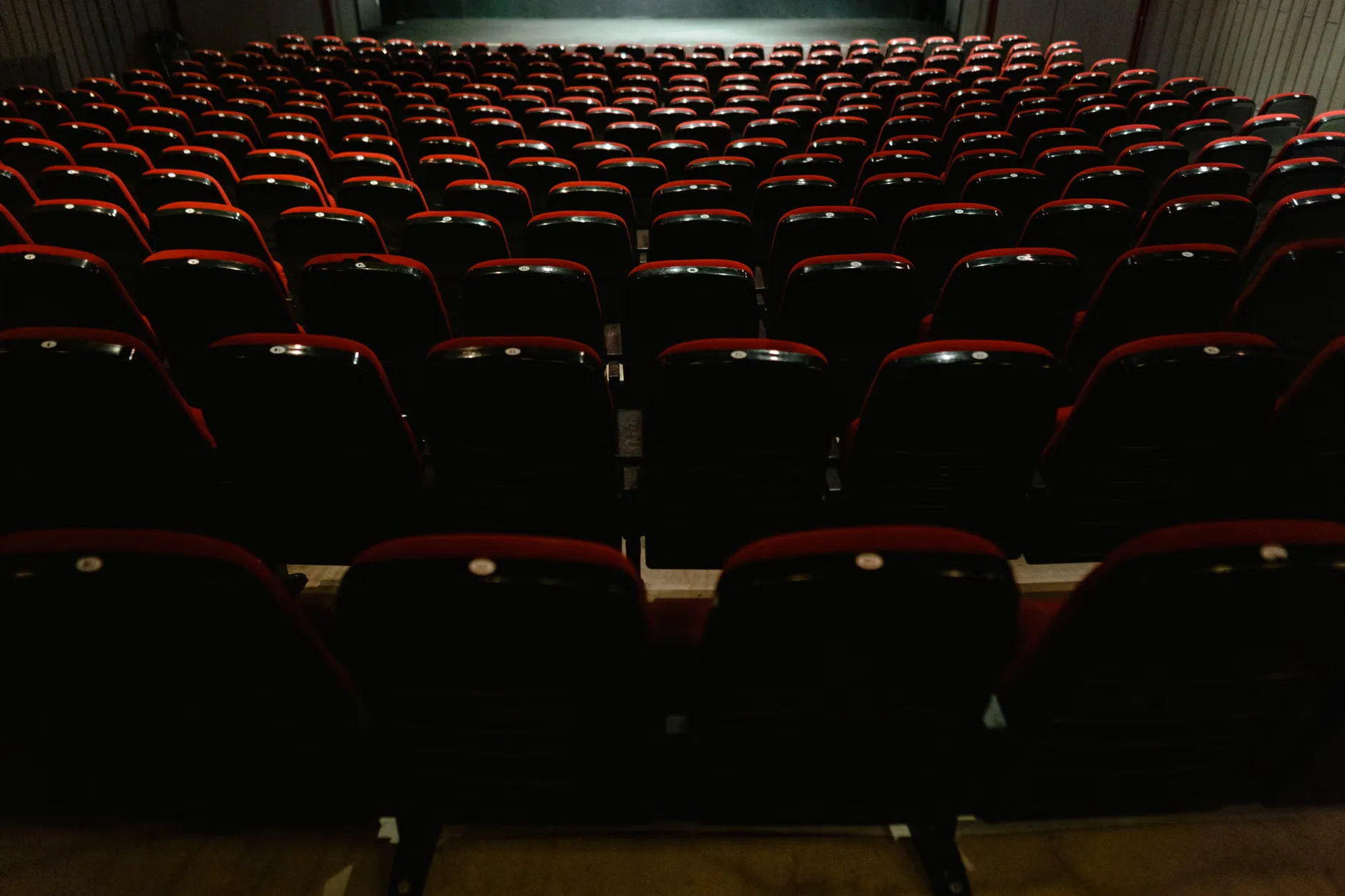 National Emergency Briefing film screening at Mill Theatre