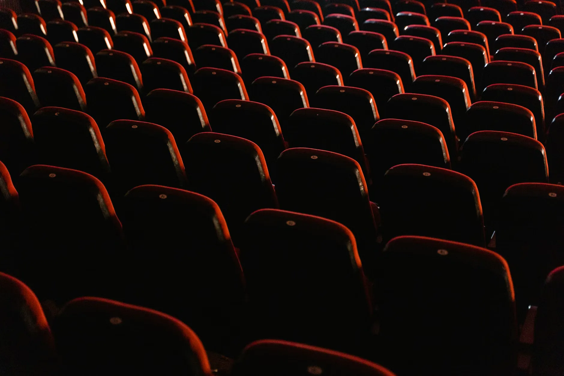 YORK - Milo Edwards: Catamaran at City Screen York Picturehouse