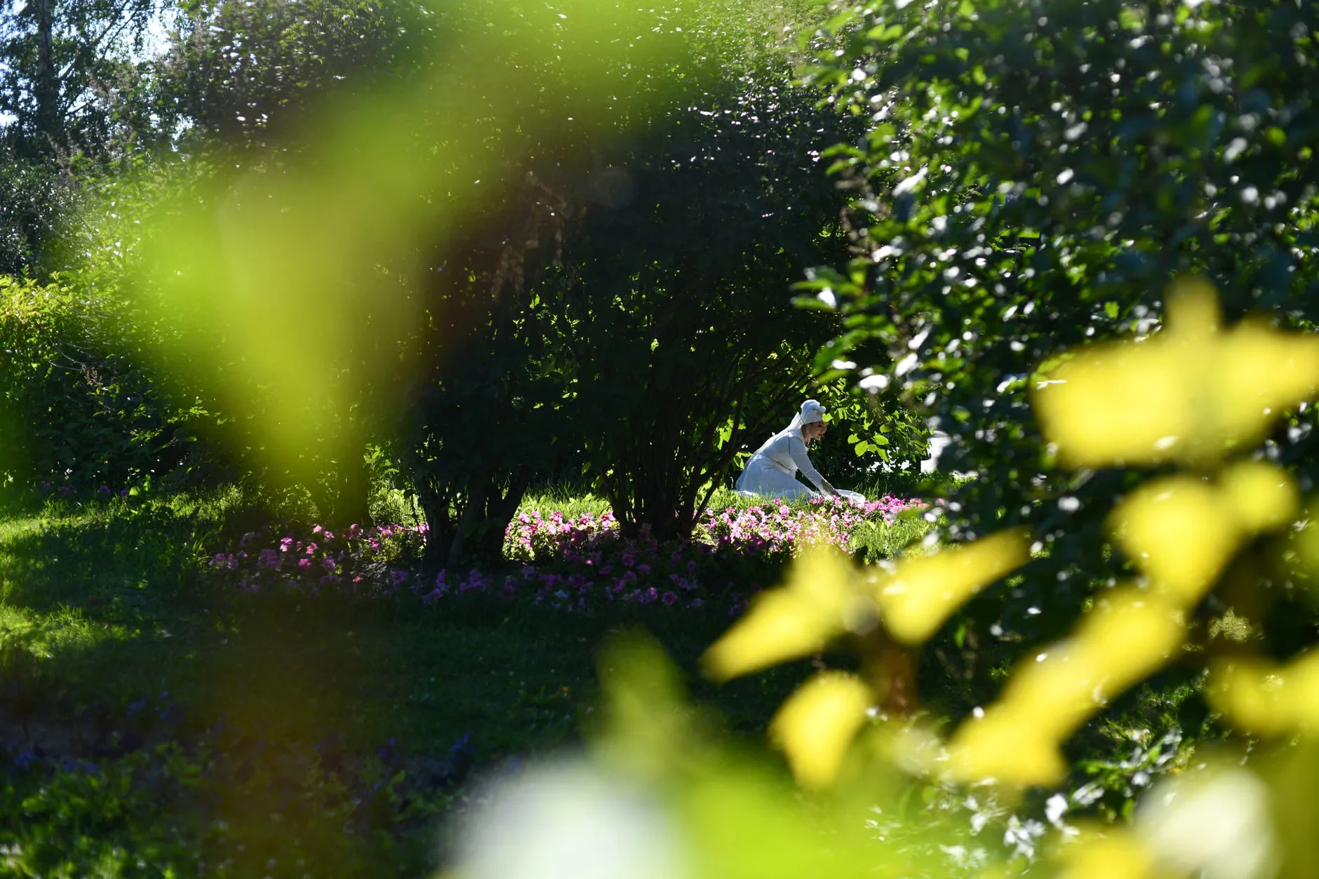 Garden and abbey tour at Fountains Abbey and Studley Royal Water Garden