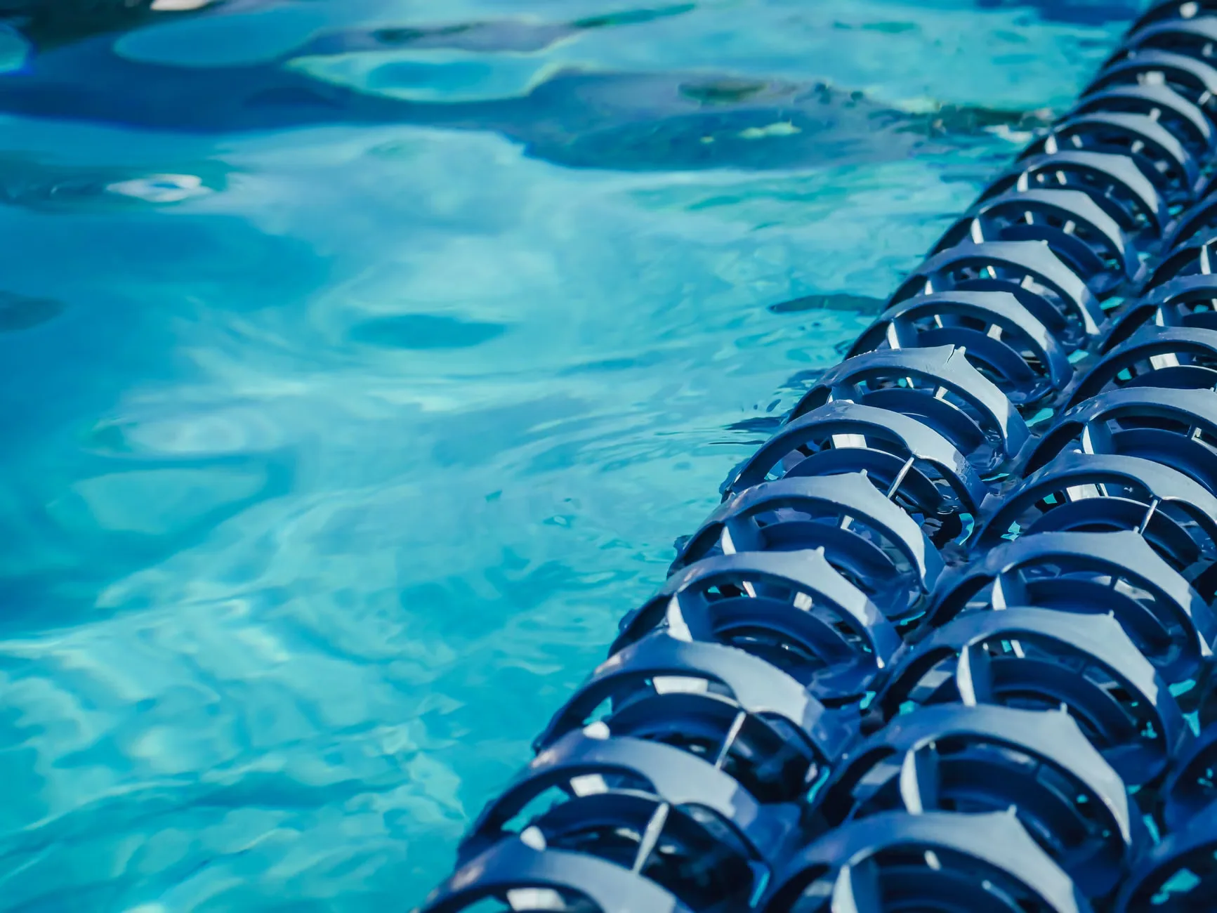 Summer Open Water Swim: Dock 9 (19/8) at Dock 9, Salford Quays