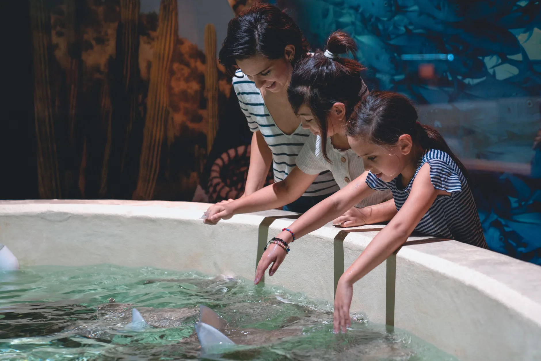 Sea Life London Standard Entry + Vr Experience at Sealife London Aquarium