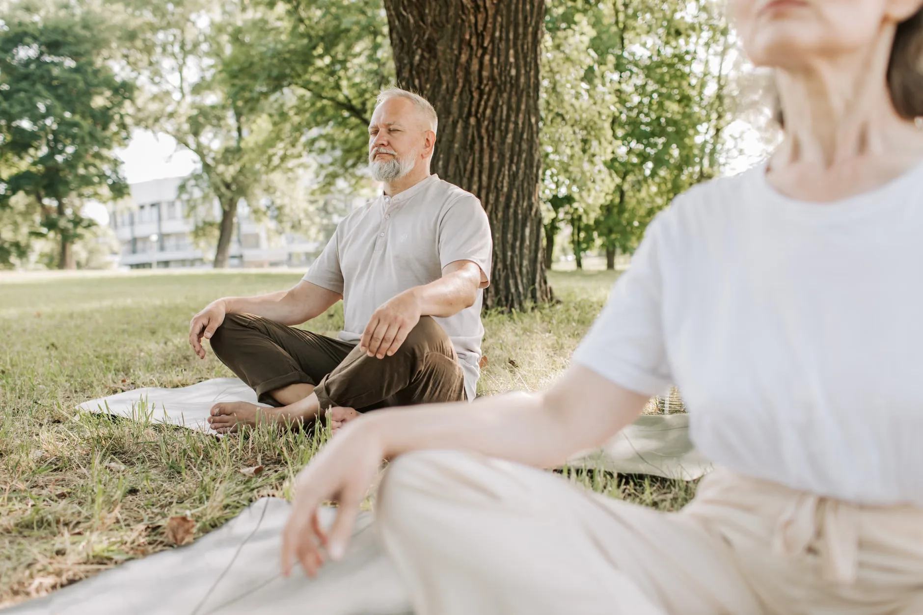 Open Silent Meditation at The Salisbury Centre