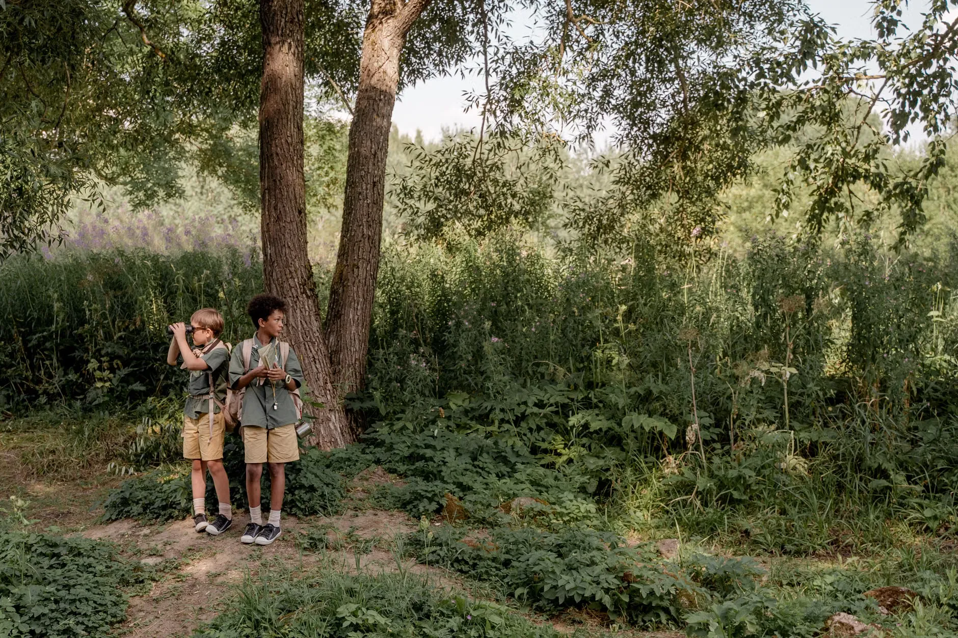 Free guided nature walks of Witley Common at Witley and Milford Commons