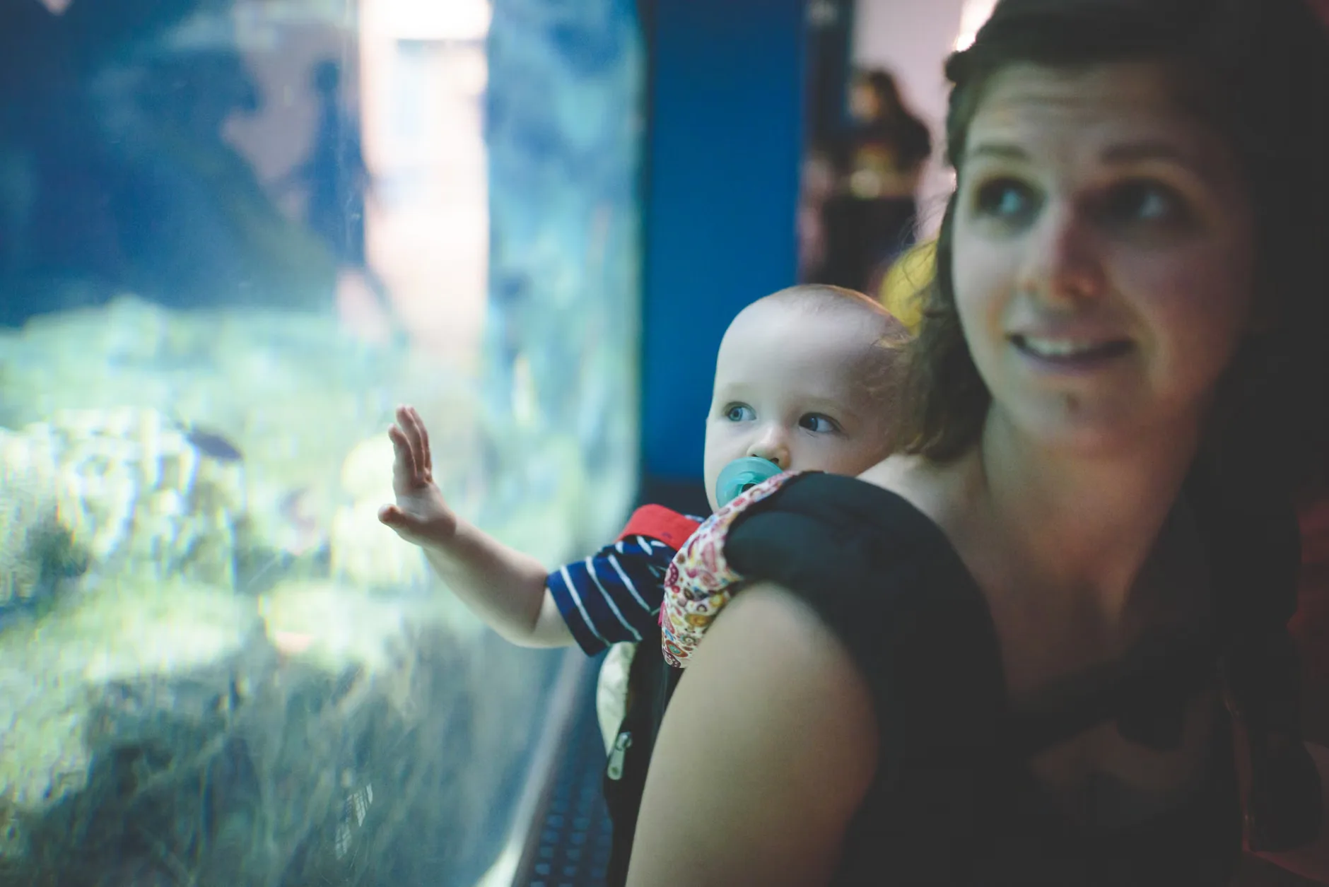 Sea Life Birmingham - Standard Entry at National SEA LIFE Centre Birmingham