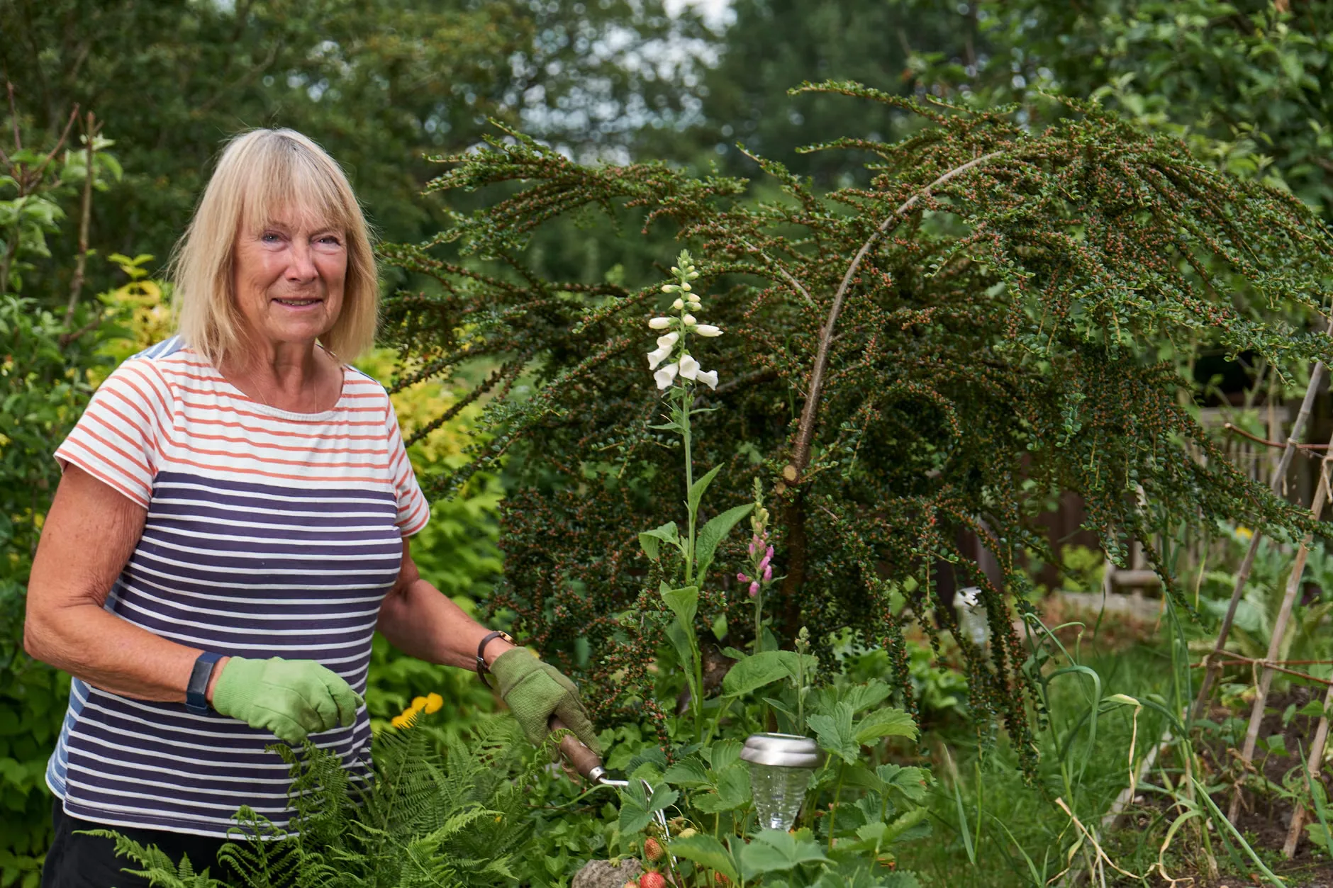 Garden tours at Saltram